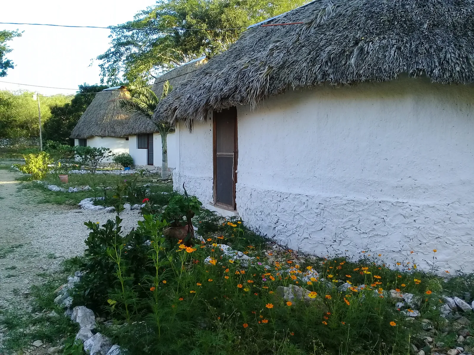 Aak Ya Abil Restaurante image 4