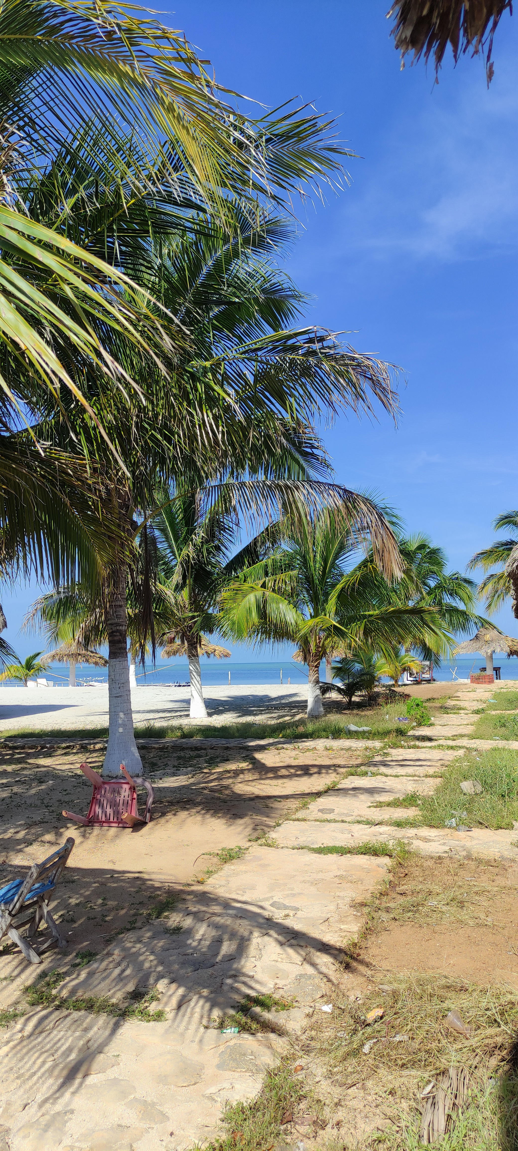 Restaurante "Isla Arena" image 2