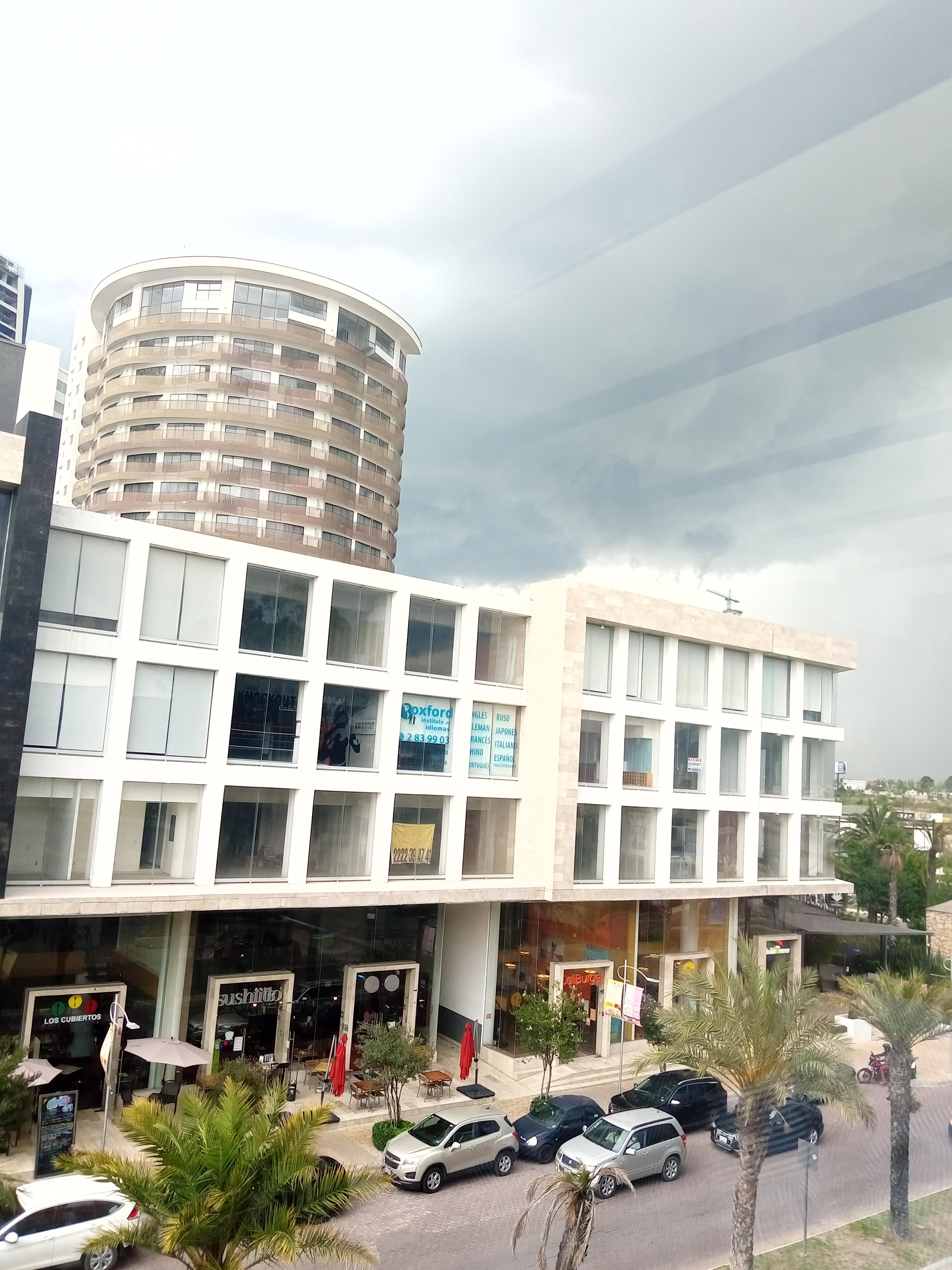 Wings Army Sonata image 7