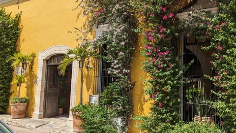 Restaurante Kinich Izamal image 6