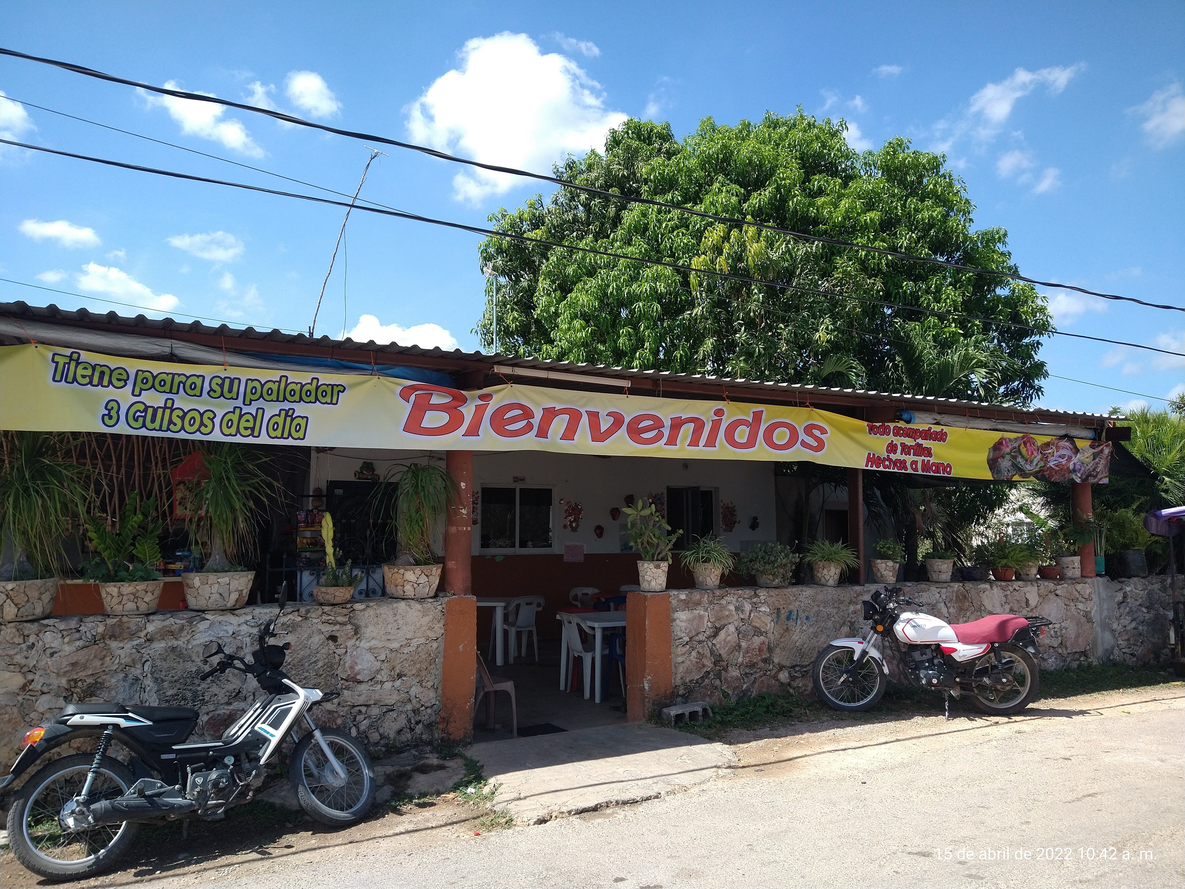 La Palmera 2 image 1