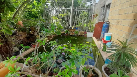 La Palmera 2 image 5