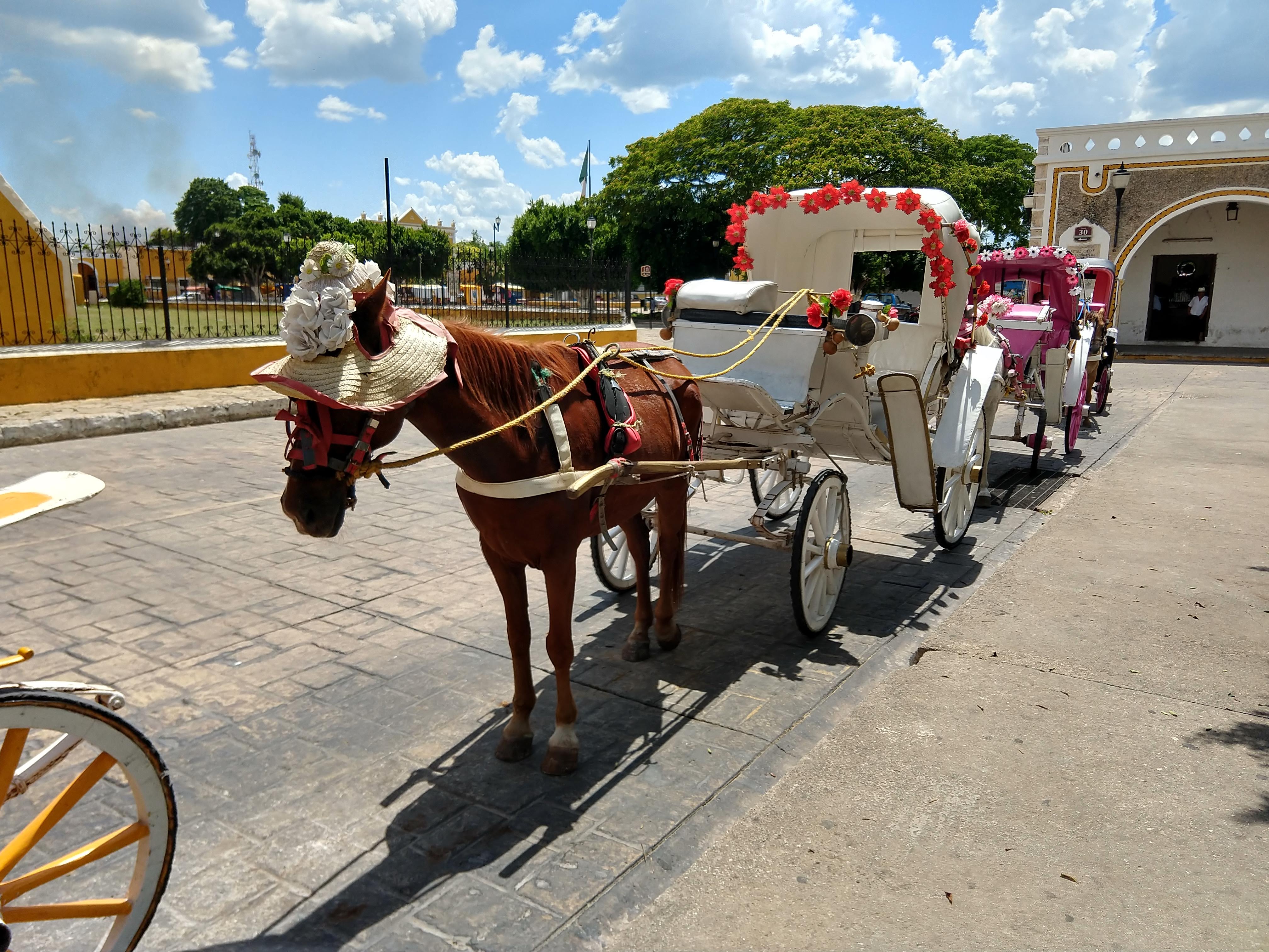Restaurant muul image 7