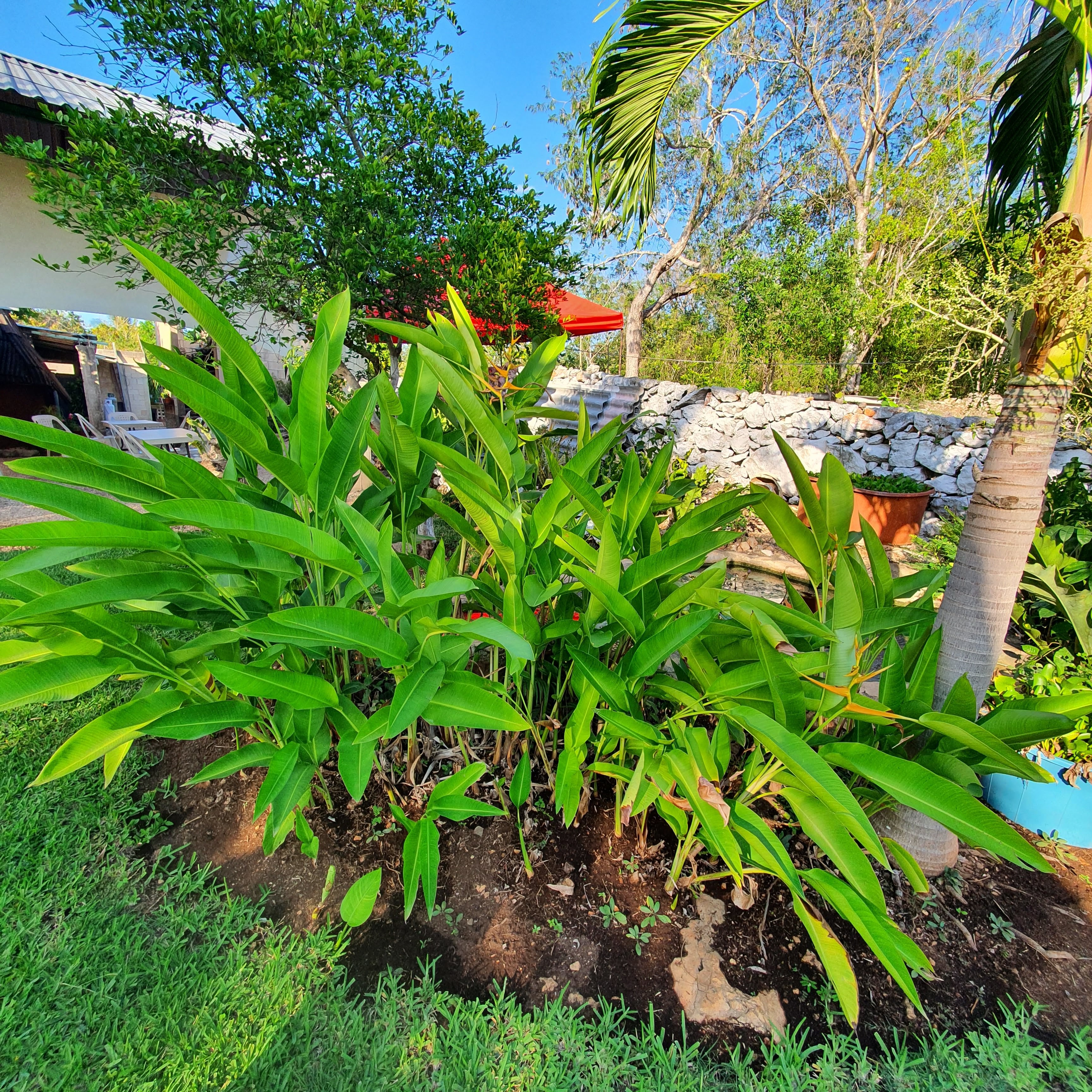 La Bendición De Dios image 8