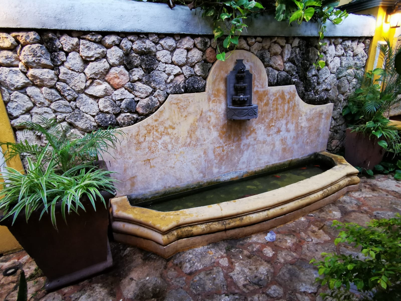 Restaurante La Conquista image 9