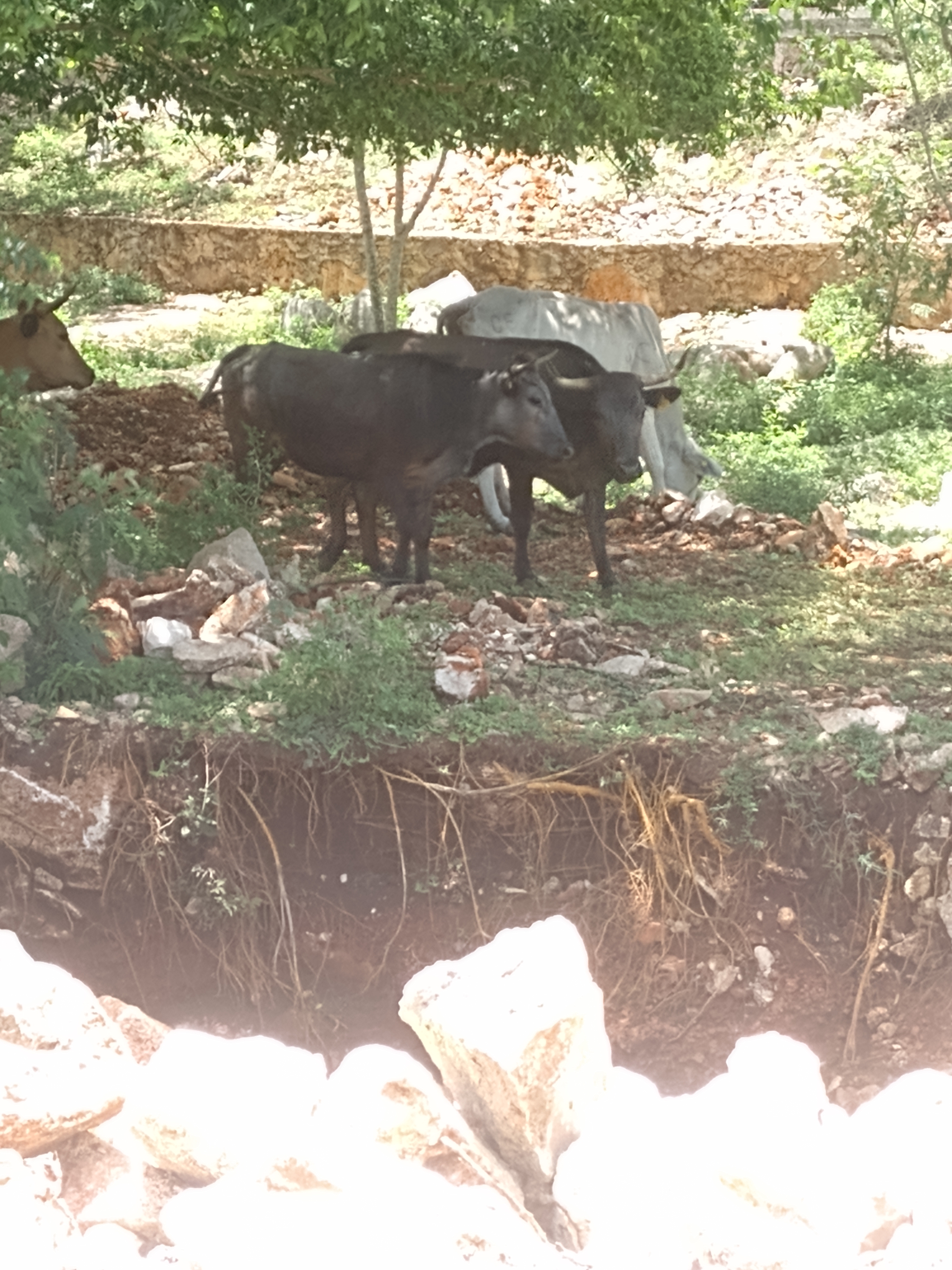 Parador dannytours image 6