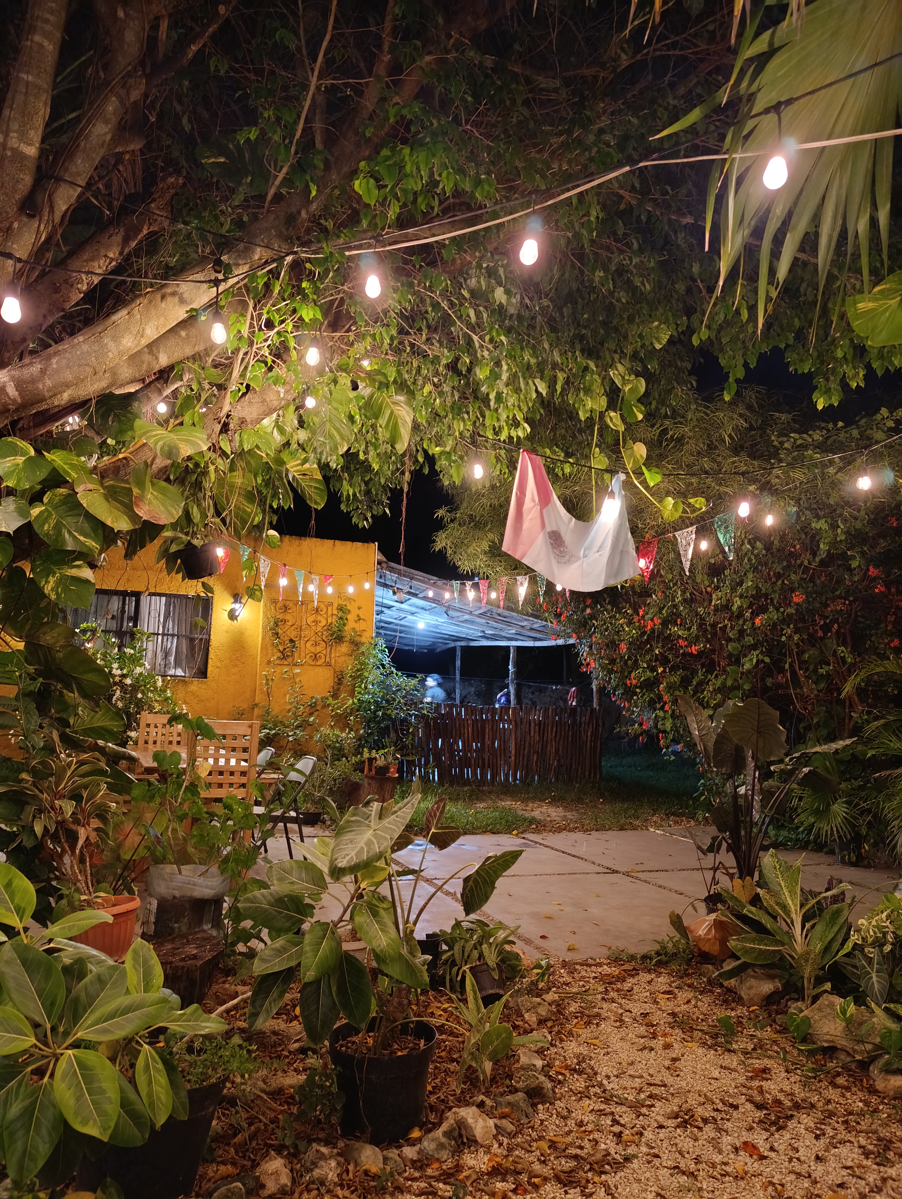 Munchies lab image 3