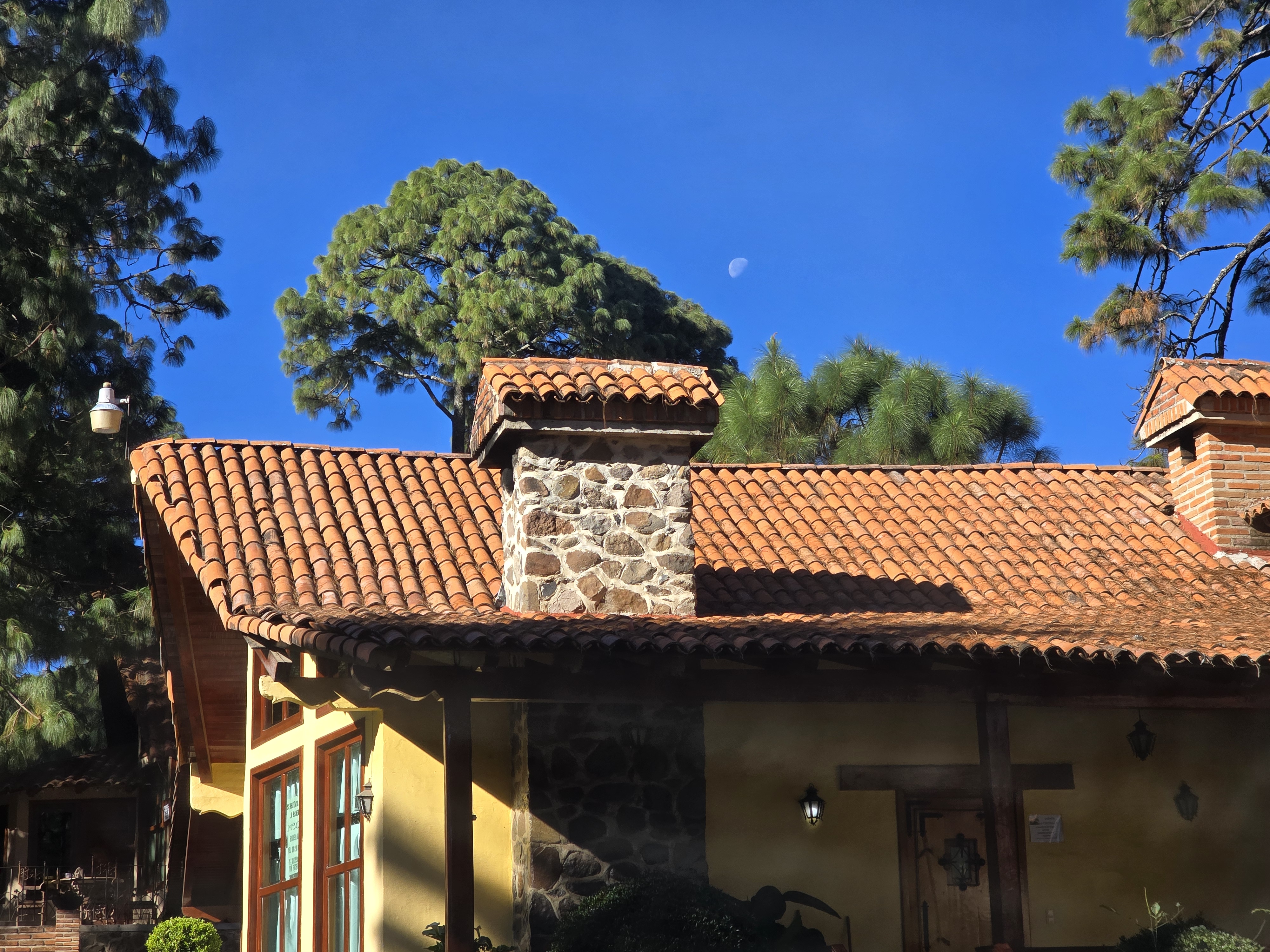 Quinta del Bosque image 5