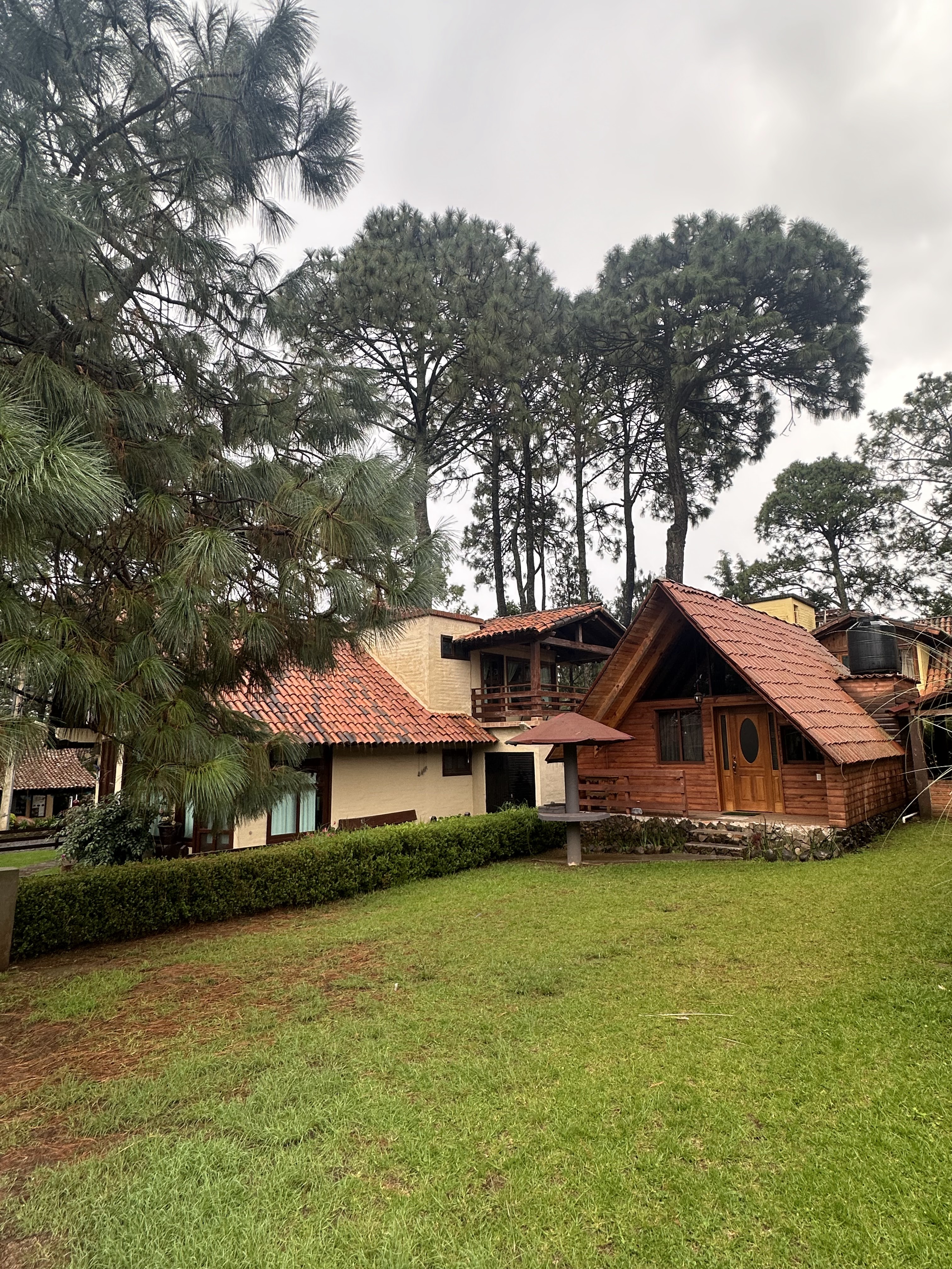 Quinta del Bosque image 7