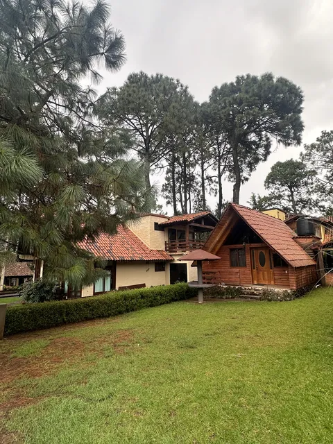 Quinta del Bosque image 7