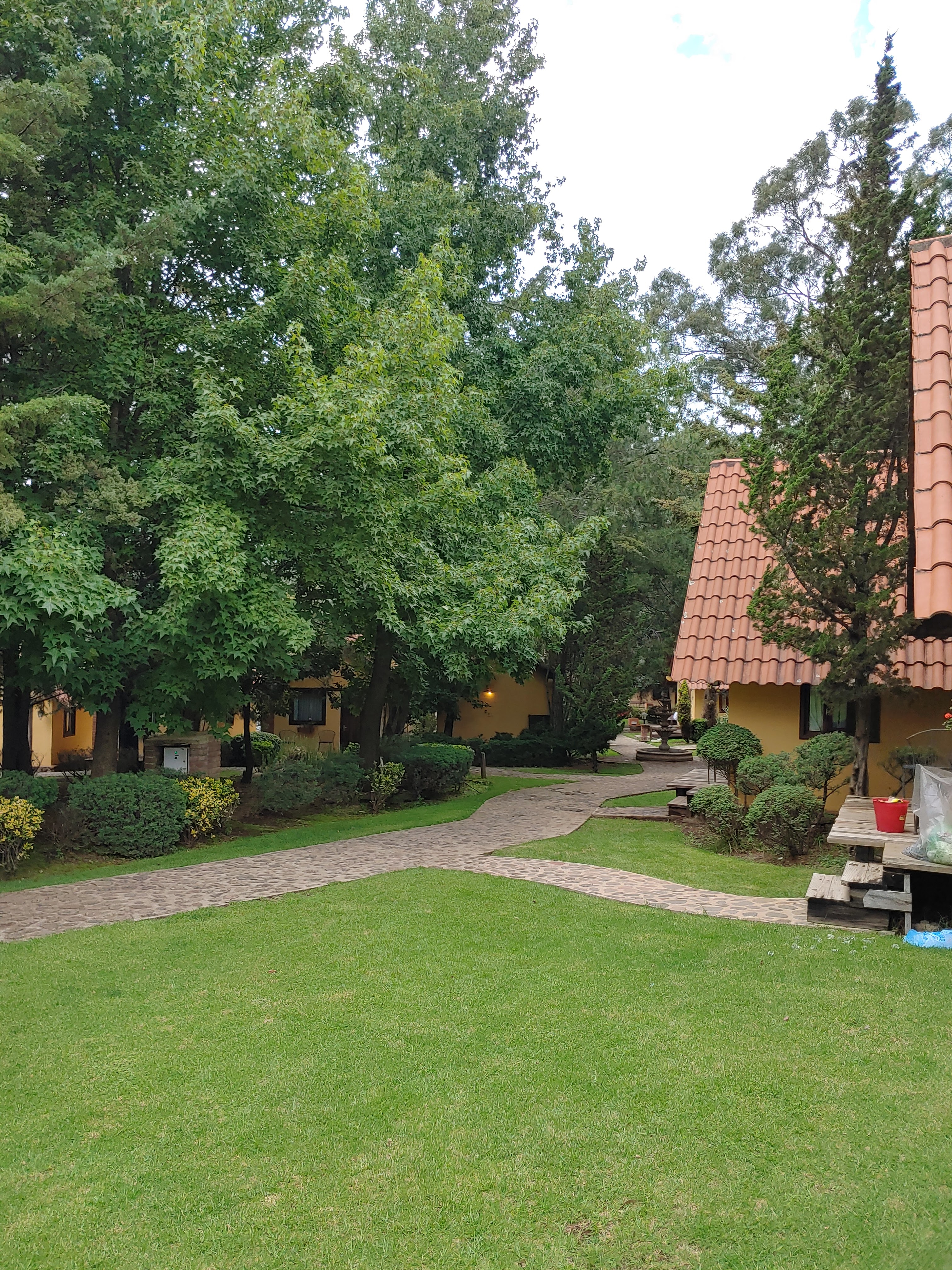 Quinta del Bosque image 8
