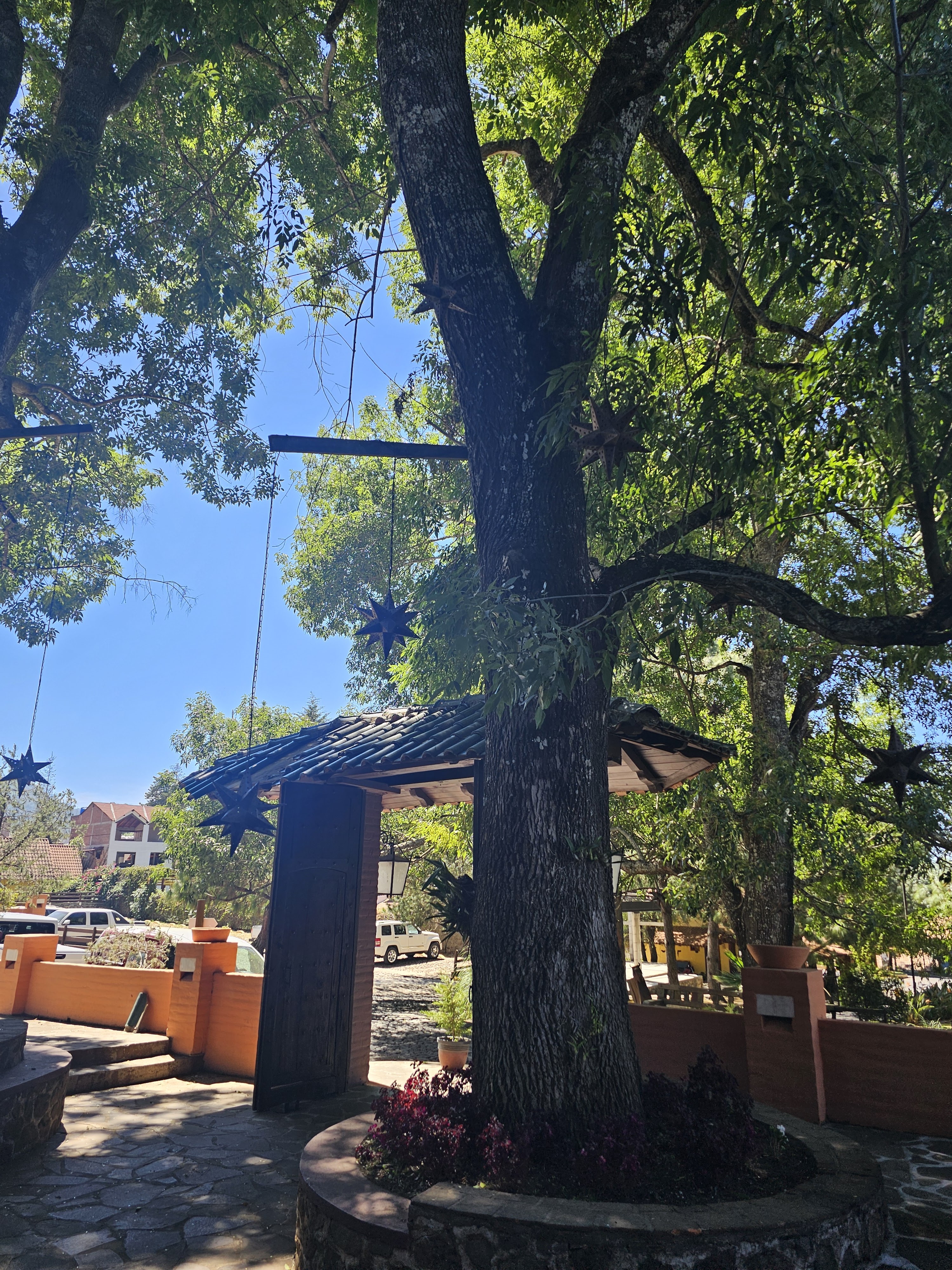 Quinta del Bosque image 9