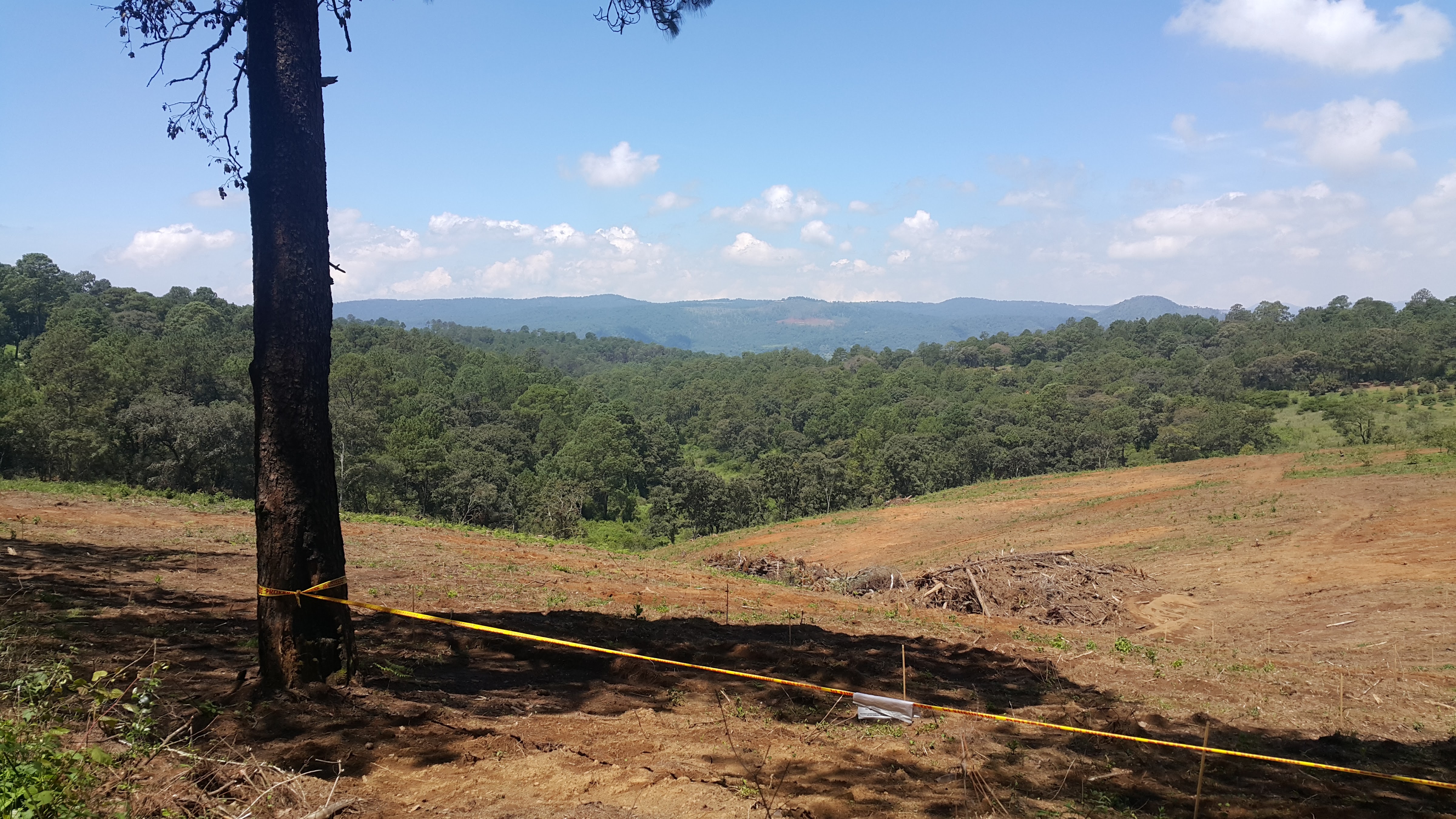 Las Cascadas Cruz de Tierra image 8