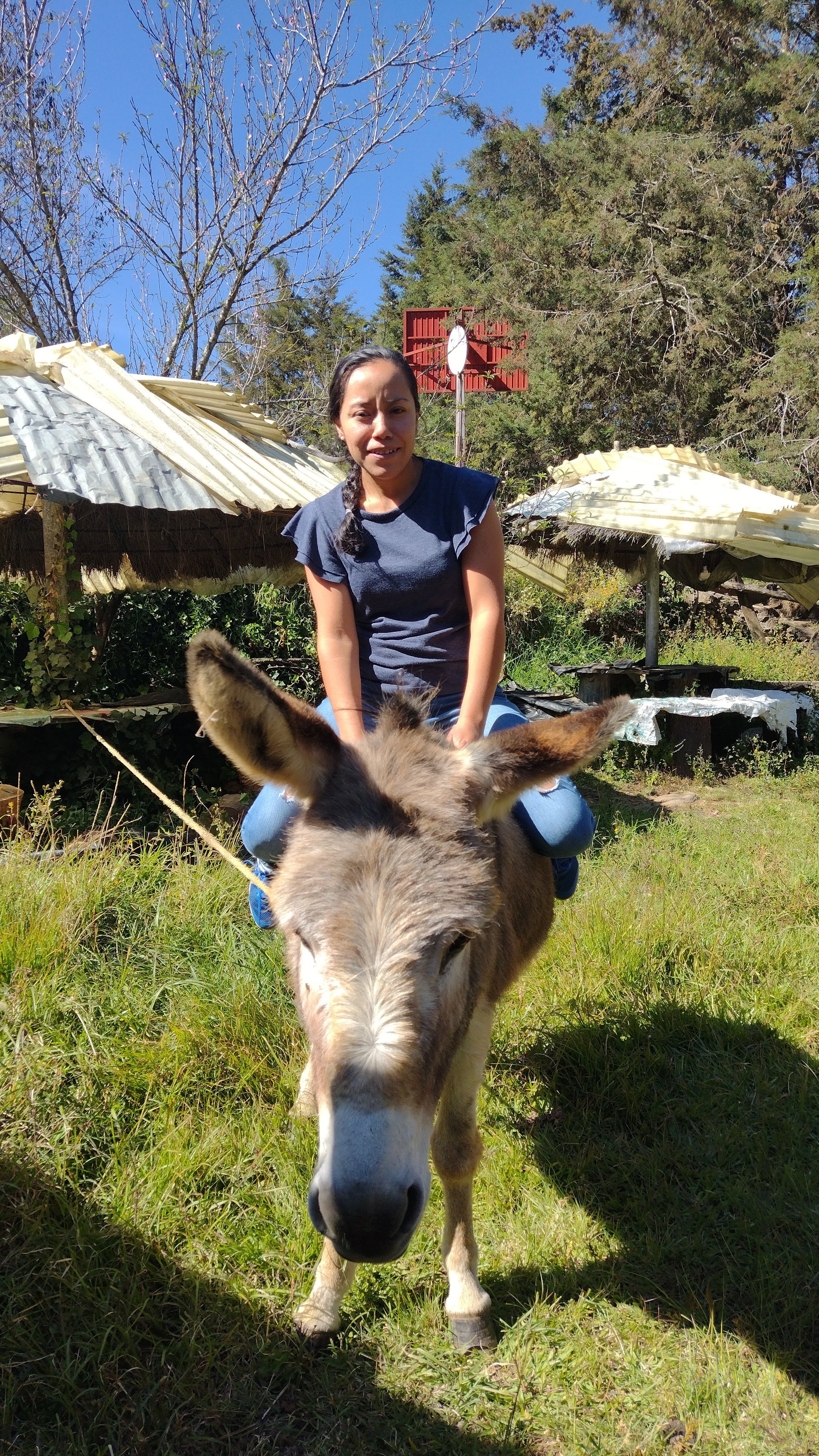 Las Cascadas Cruz de Tierra image 9