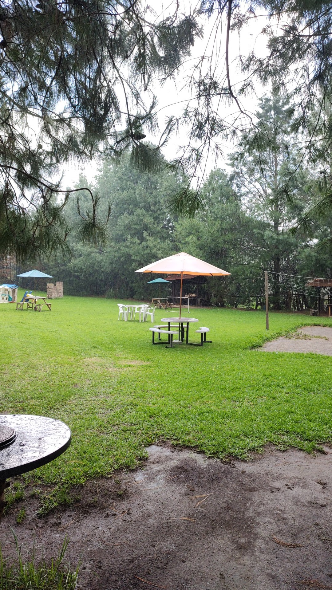 Finca la herradura image 2