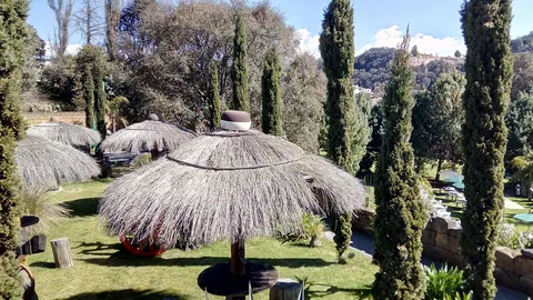Finca la herradura image 5