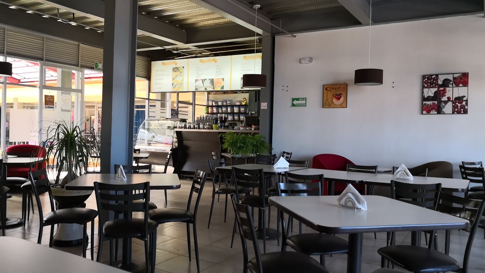 La Terraza (Restaurante/café). image 7