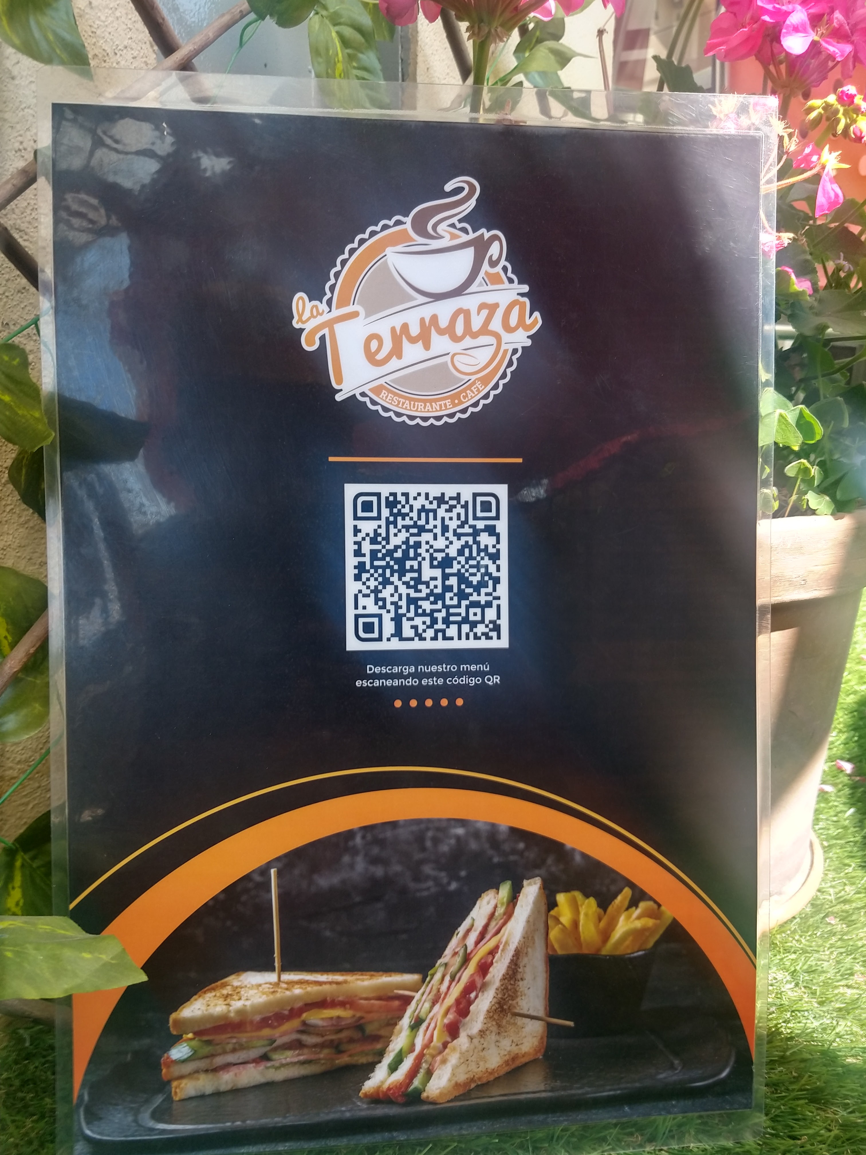 La Terraza (Restaurante/café). image 9