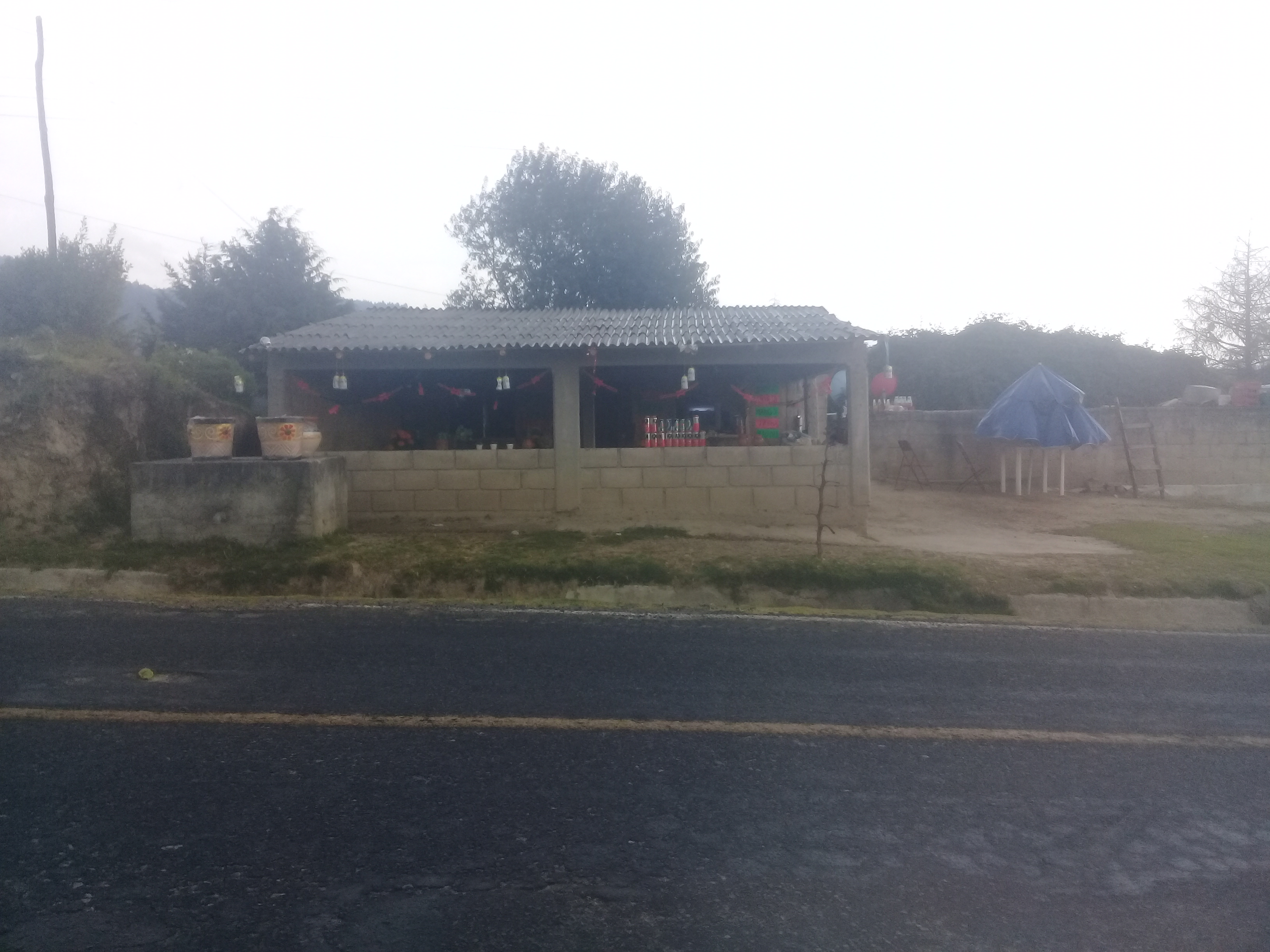 LAS HERMANAS FLORES image 1