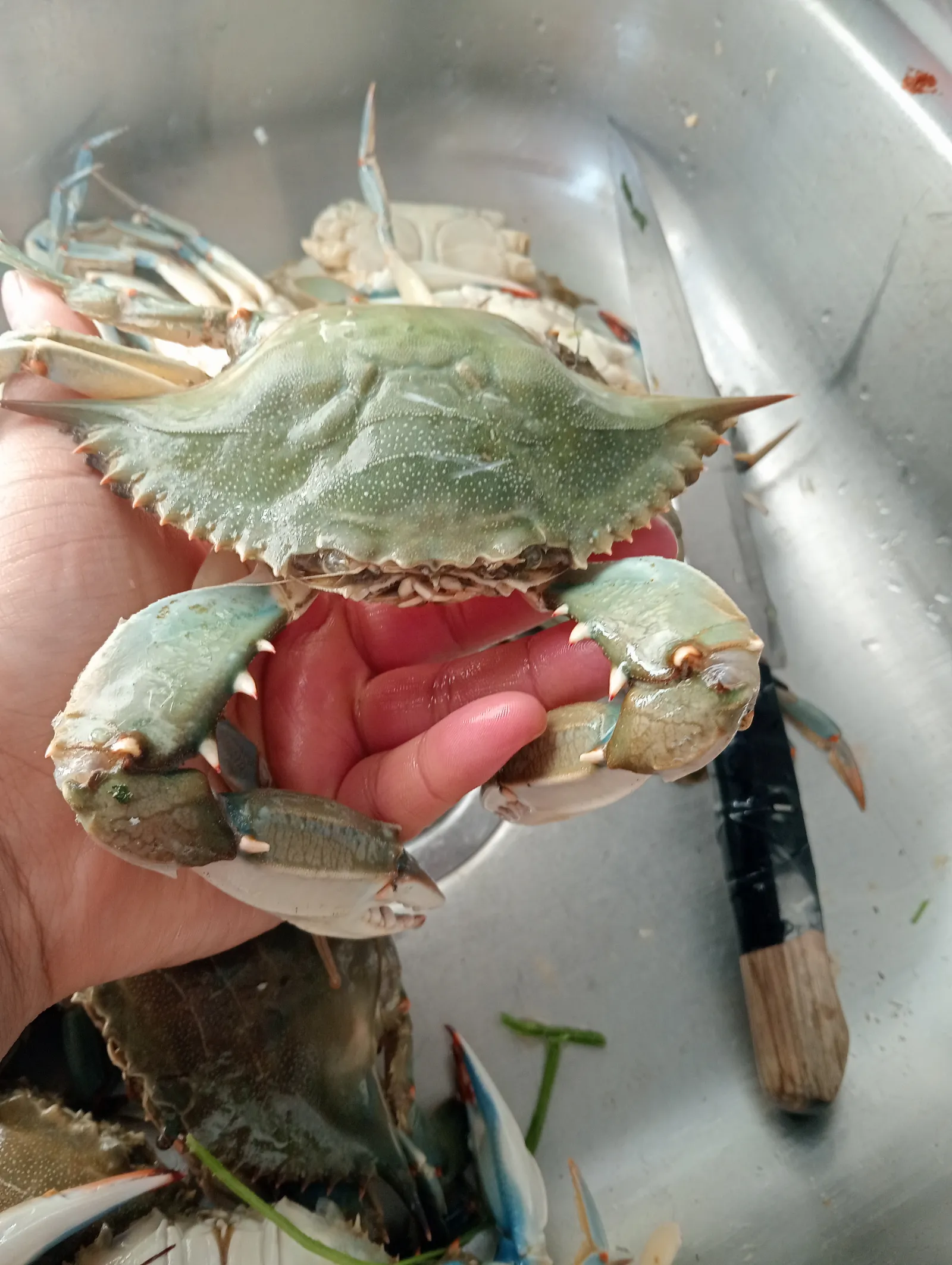 Mariscos El Rey León image 1