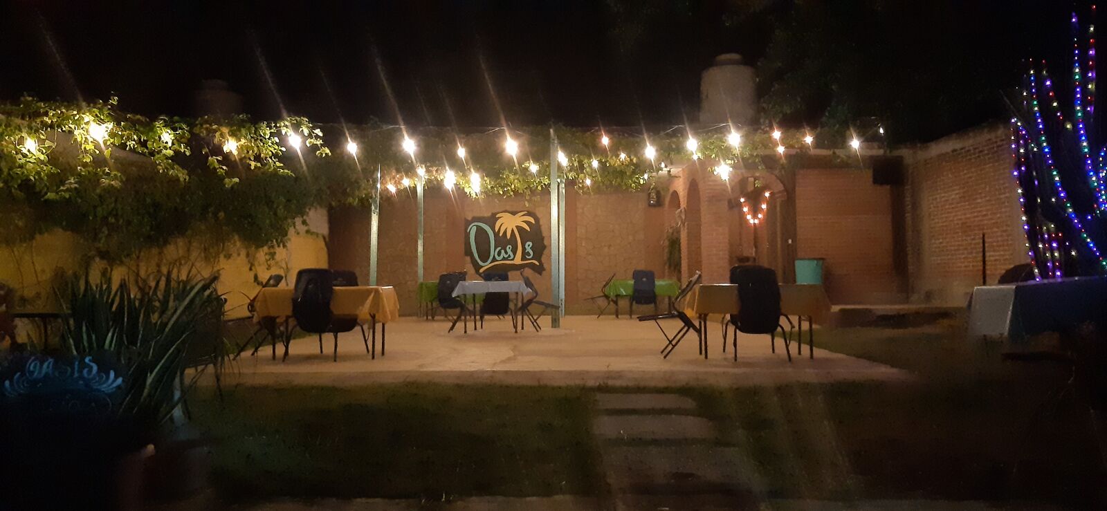 Oasis image 3