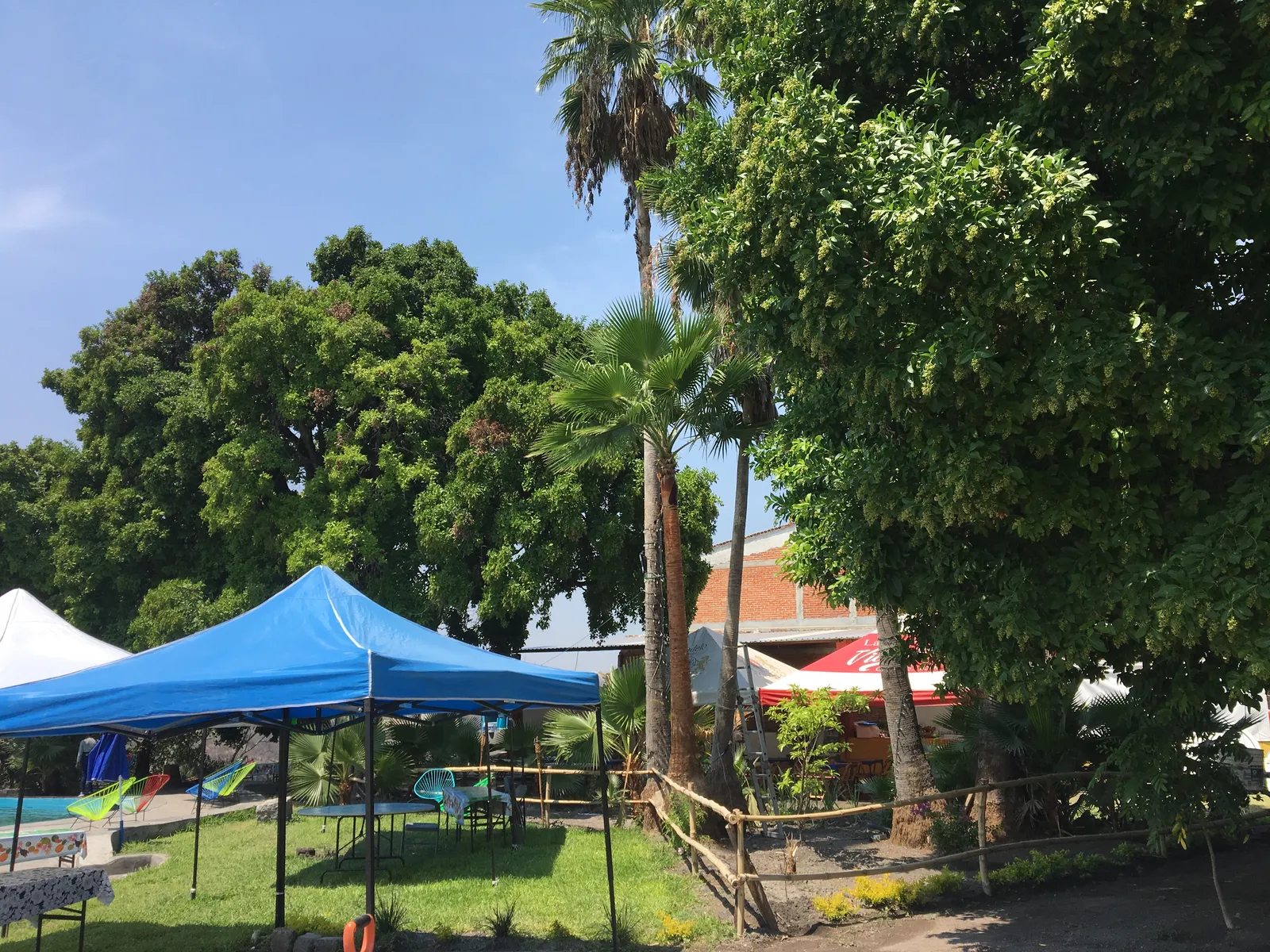 Las Palmas image 7