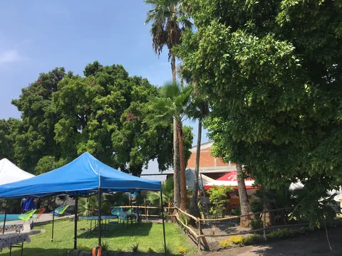 Las Palmas image 7