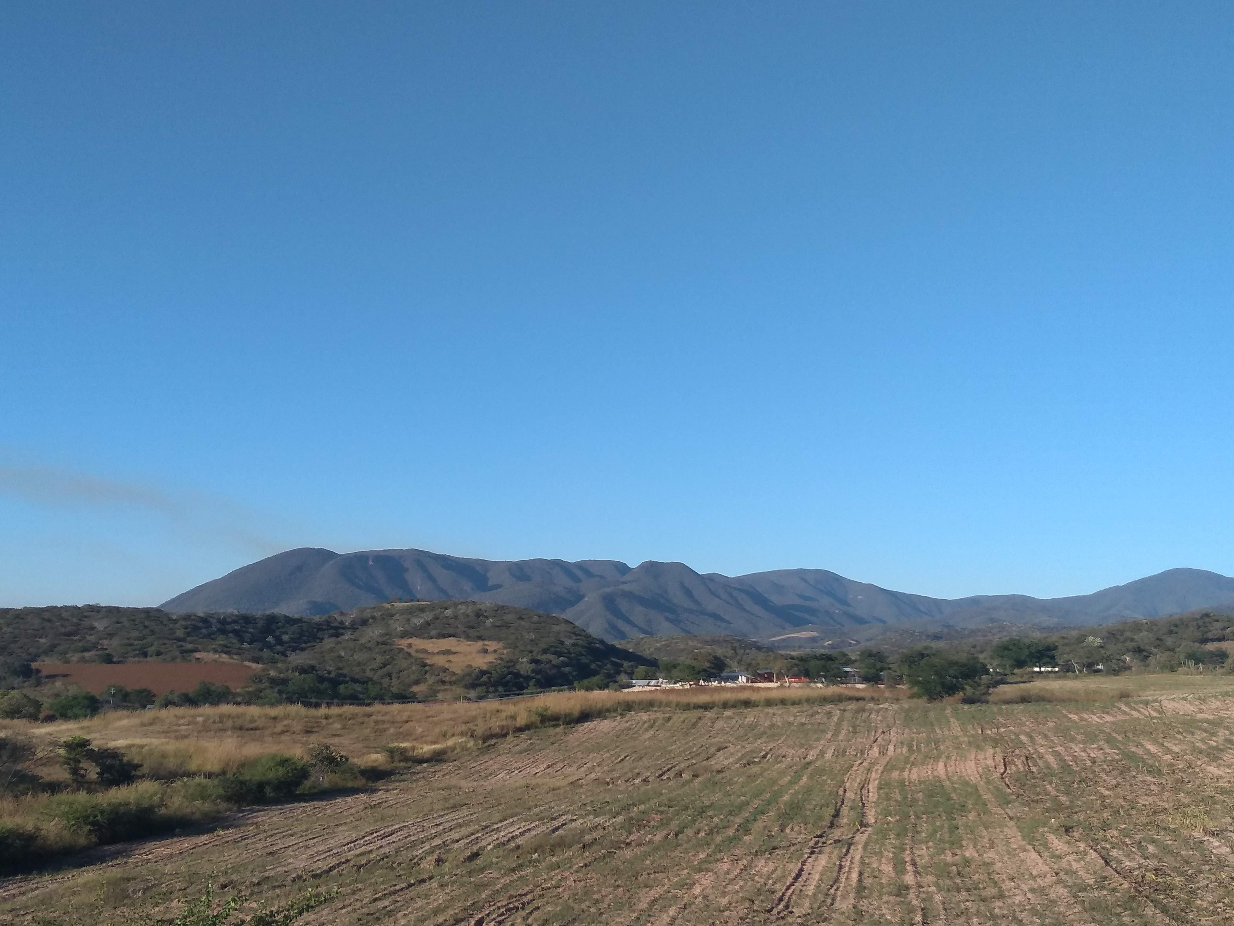 Tortas El Don image 3