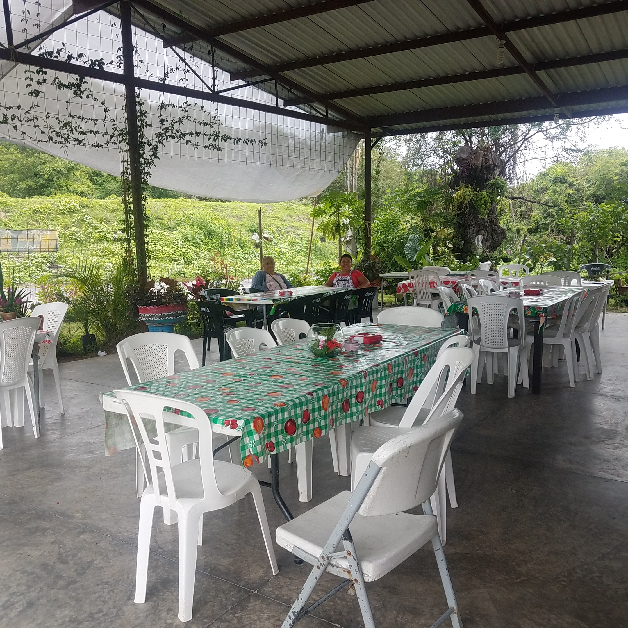 Restaurant Flores Rojas image 1