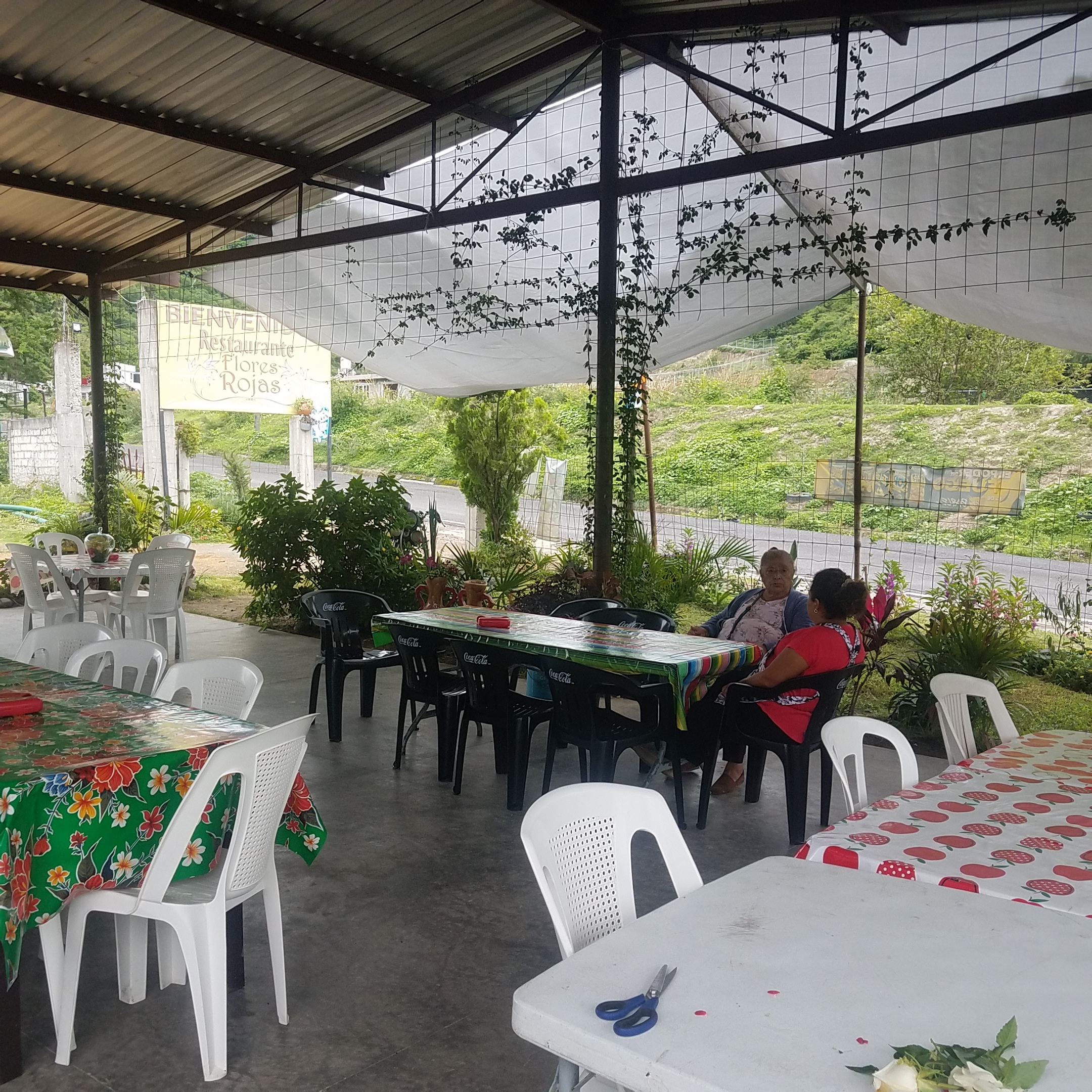 Restaurant Flores Rojas image 10