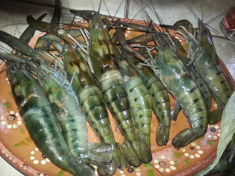 HuaTeQues Bar. image 8