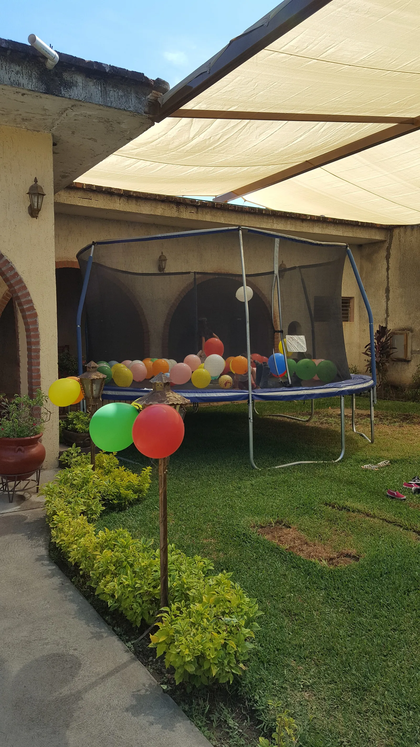 La Finca image 8