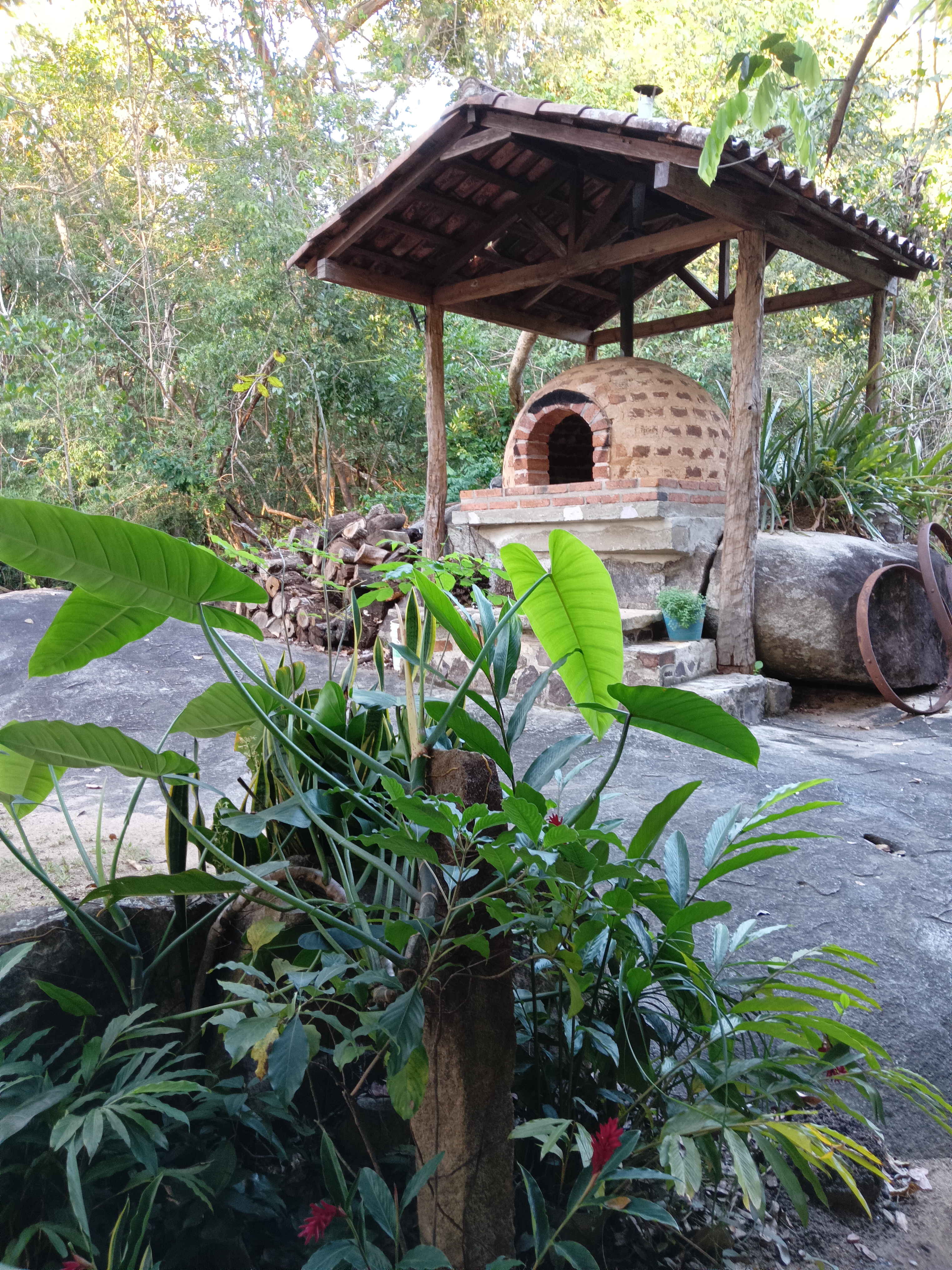 LA FRONDOSA RESTAURANTE image 8