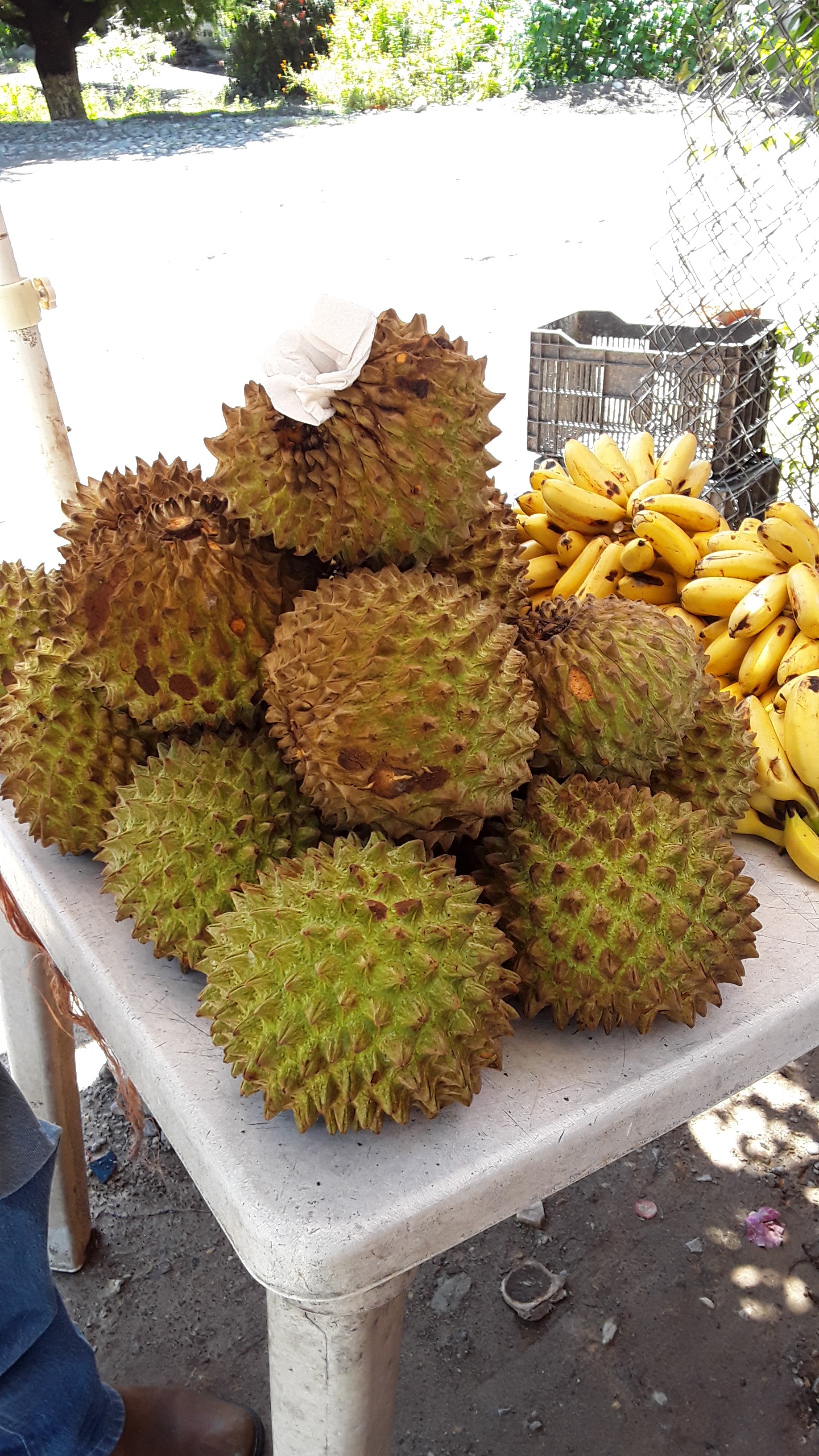 Restaurante Bar Campestre Daniels image 8