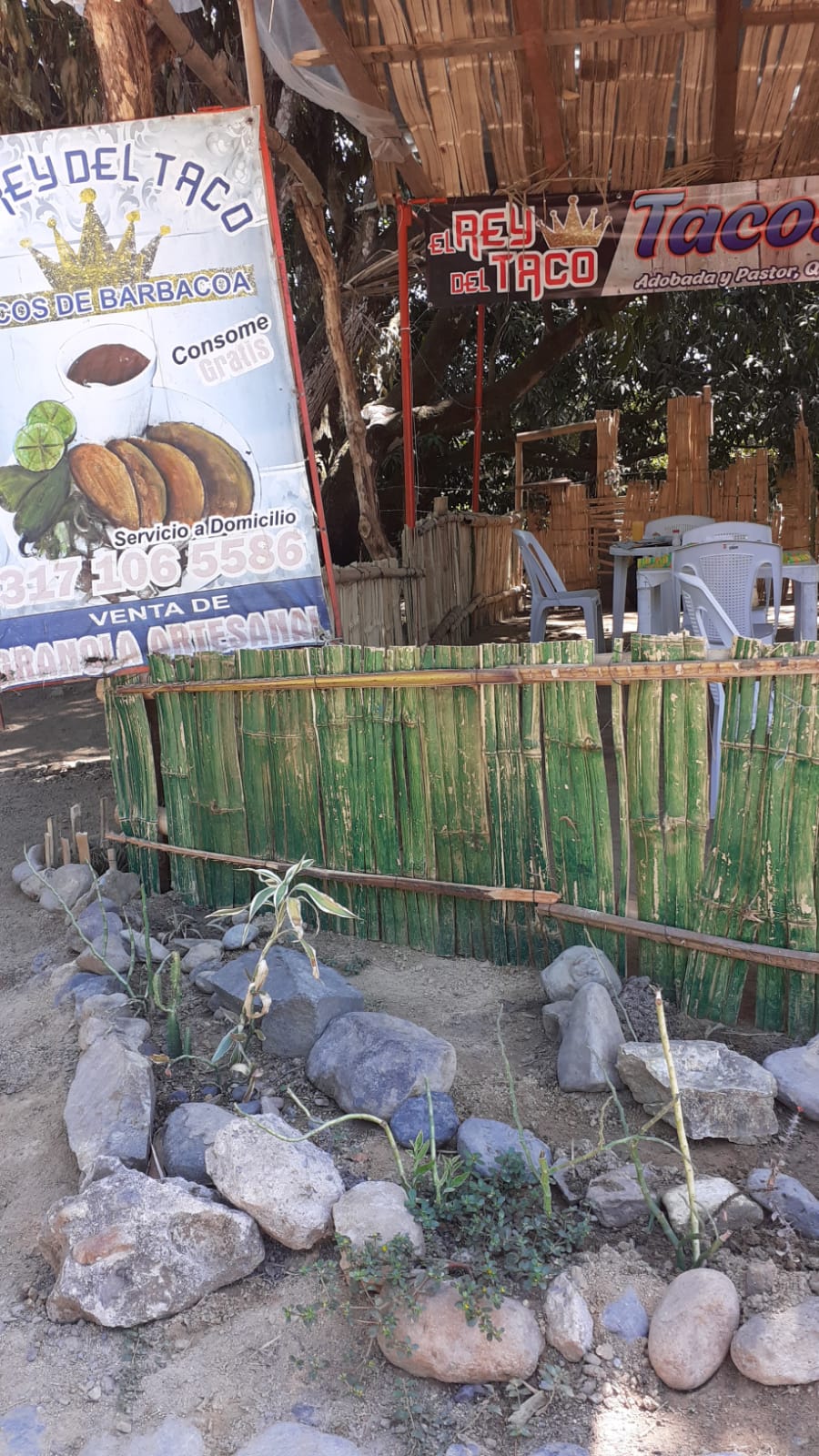 Tacos de Barbacoa "El Rey del Taco VP" image 3