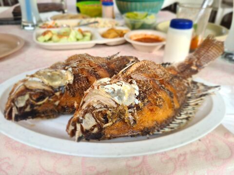RESTAURANT EL CORRALON DE DOÑA LOLA image 3