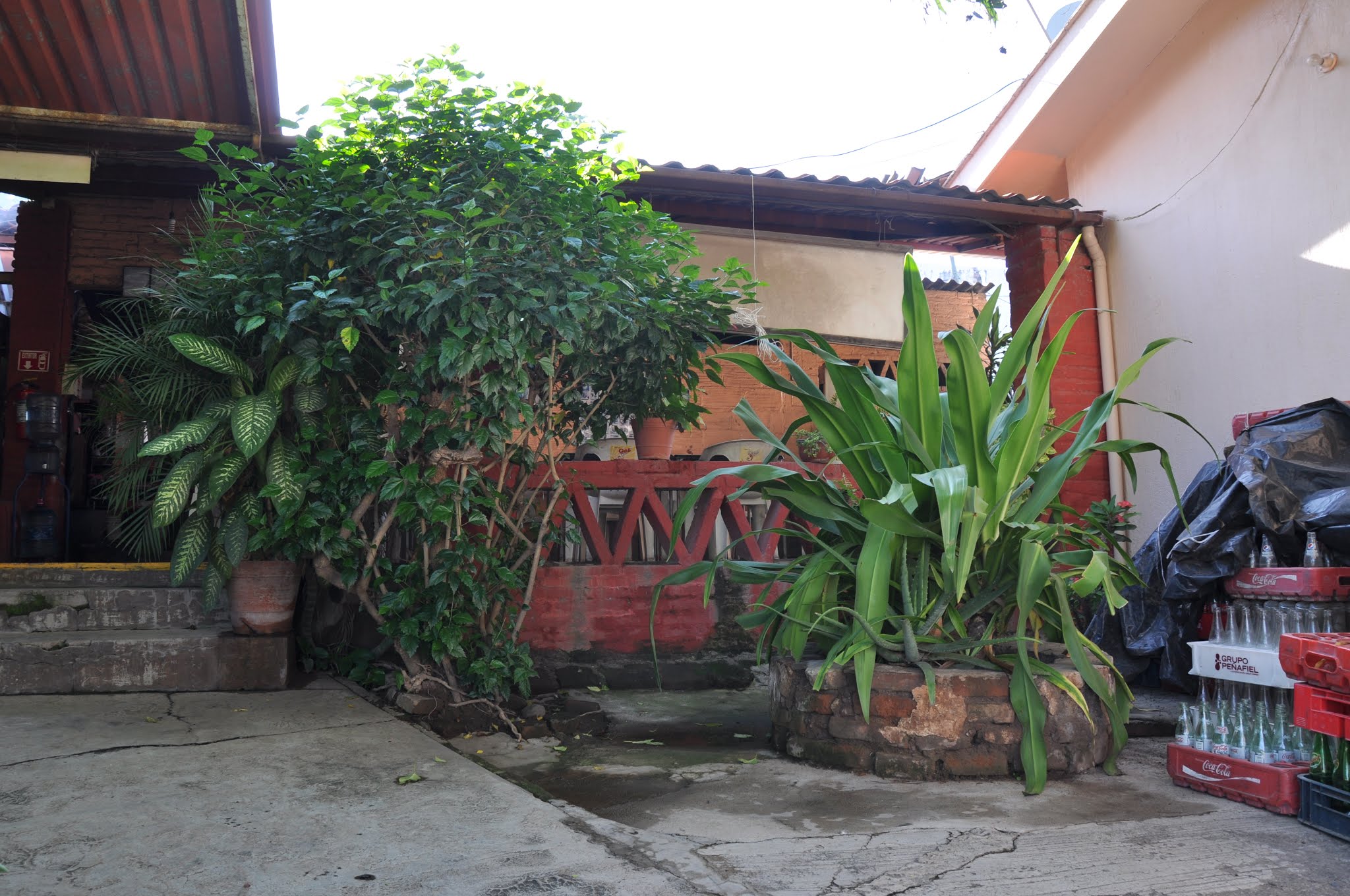 Restaurant la Cabaña image 10