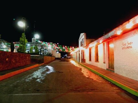 Plaza Jardín Le Gourmet image 7