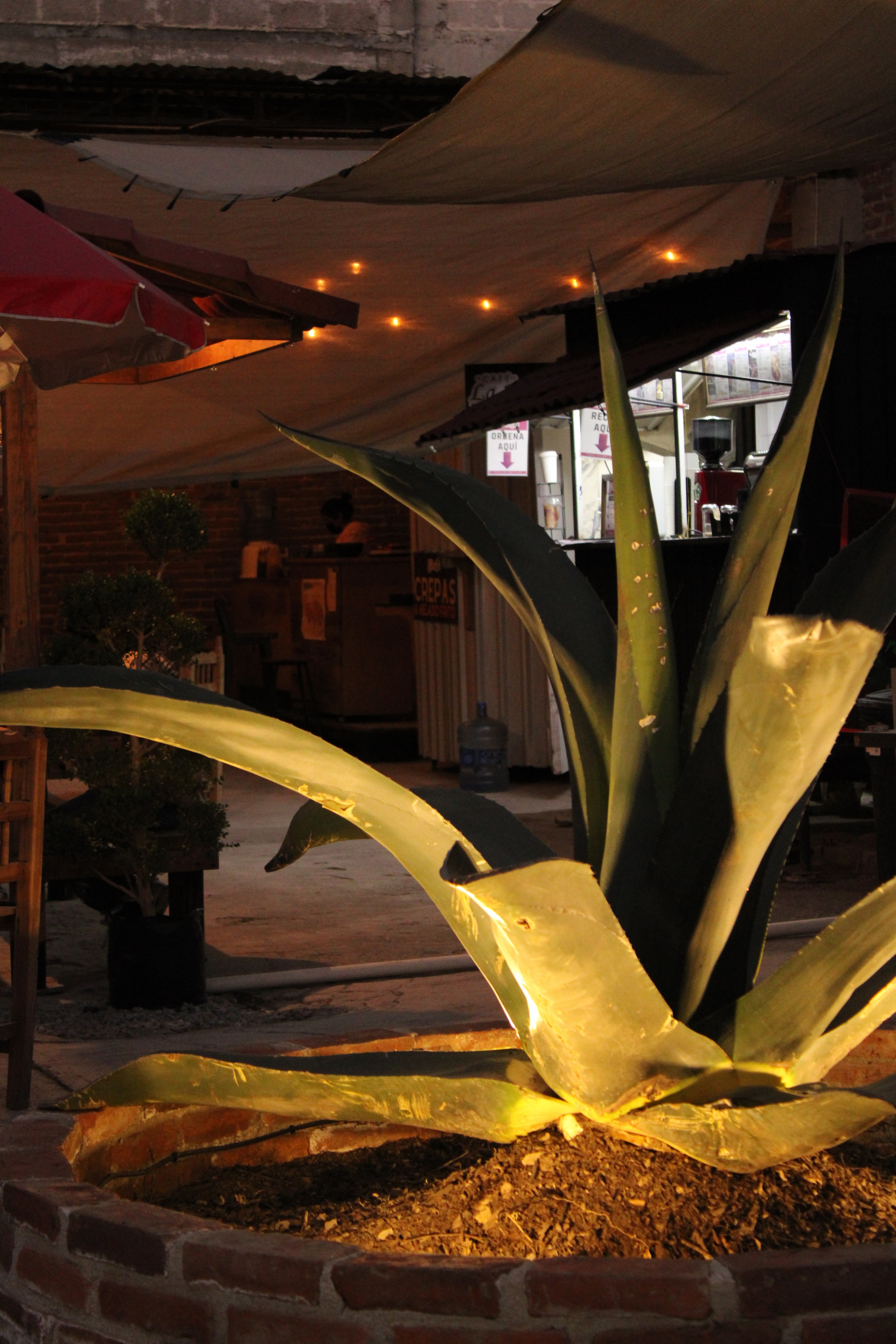 Mercado La Estación image 9