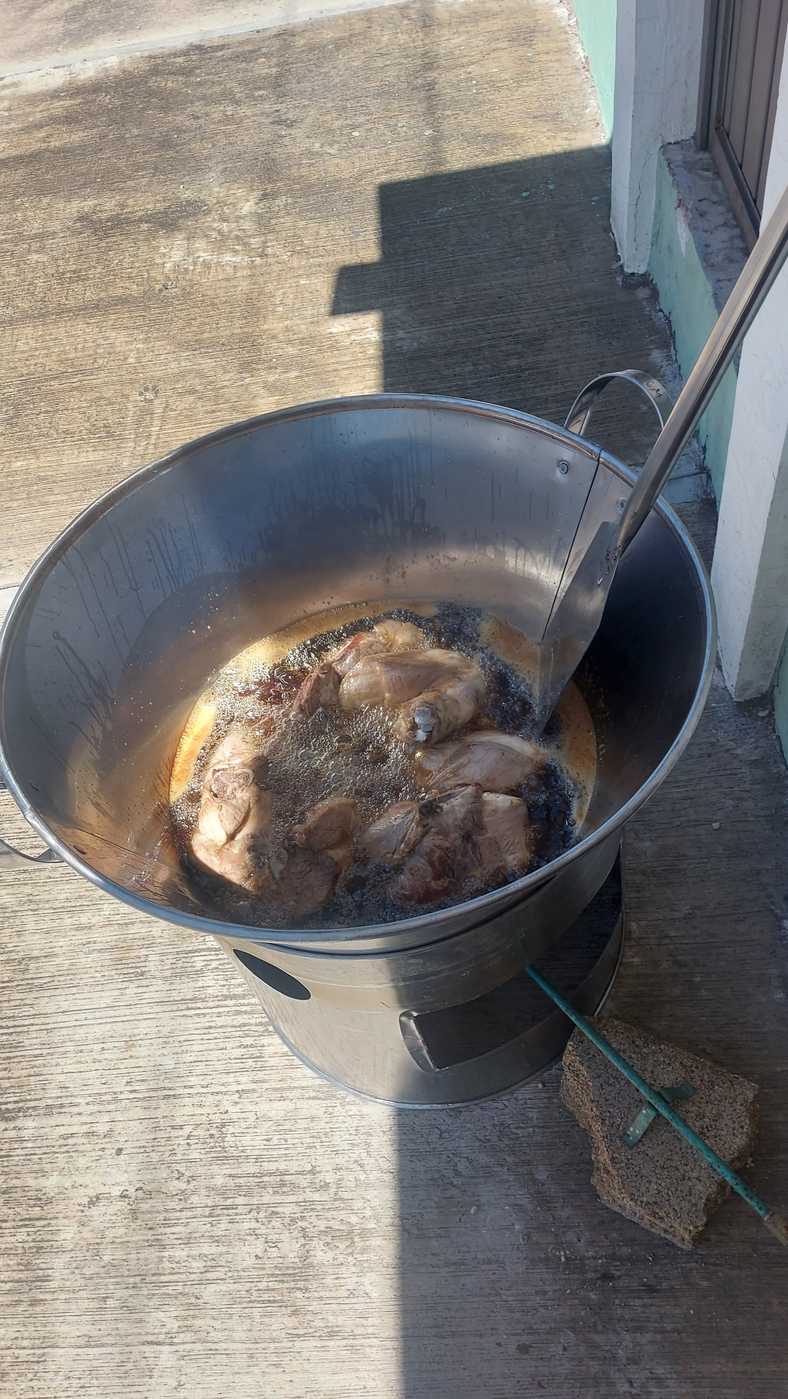 Flor del Sol image 6