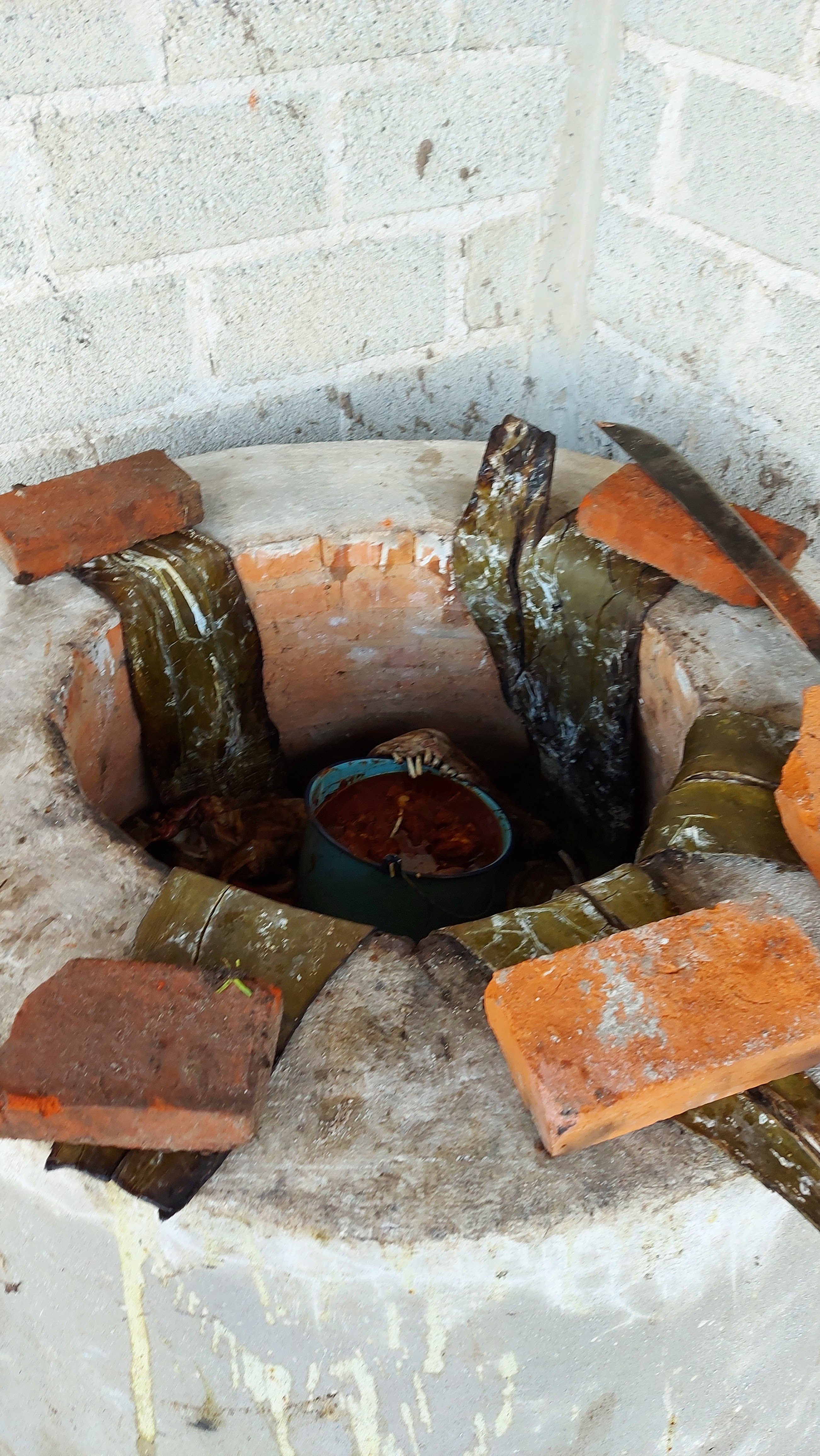 Flor del Sol image 7