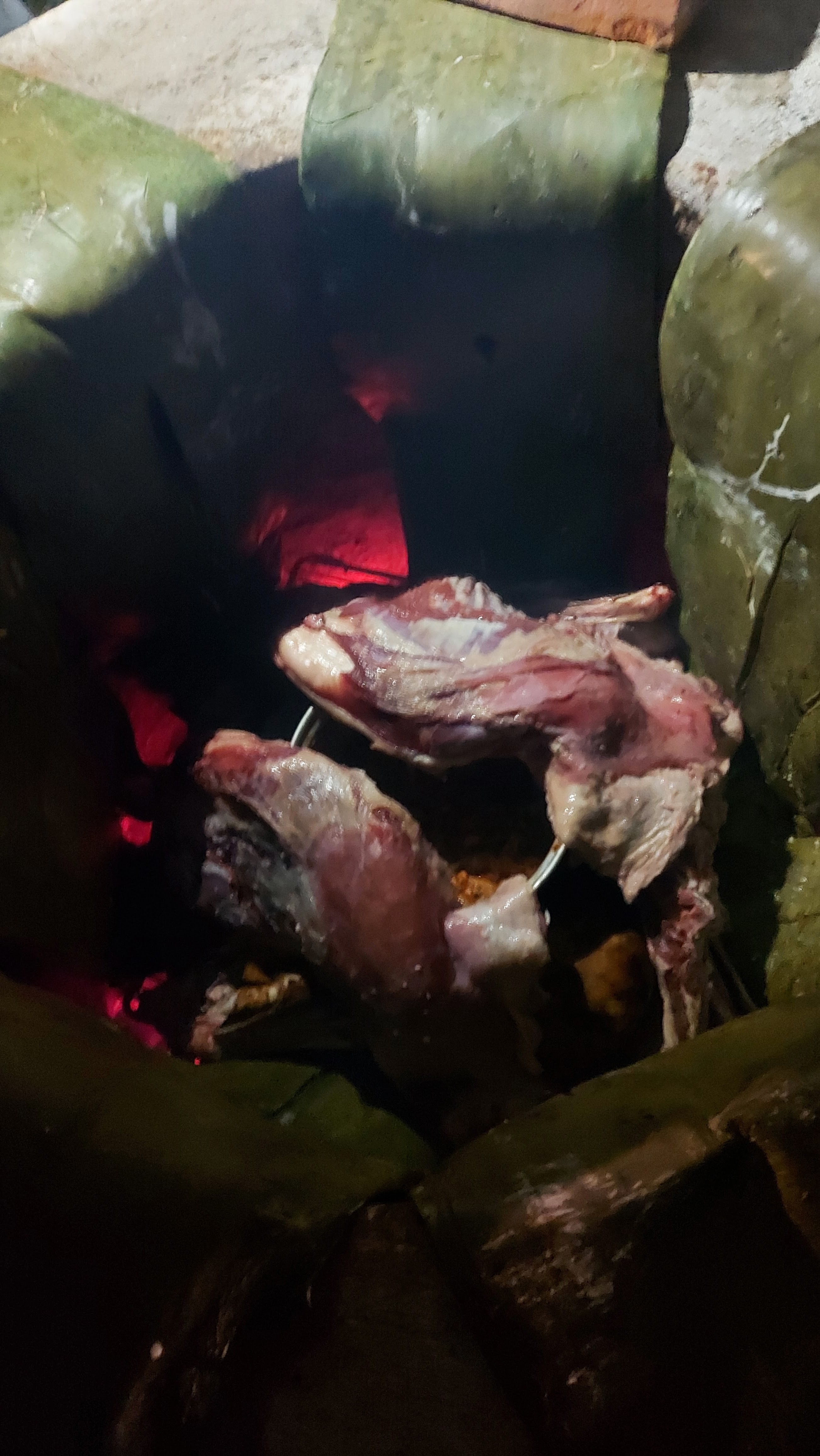 Flor del Sol image 9