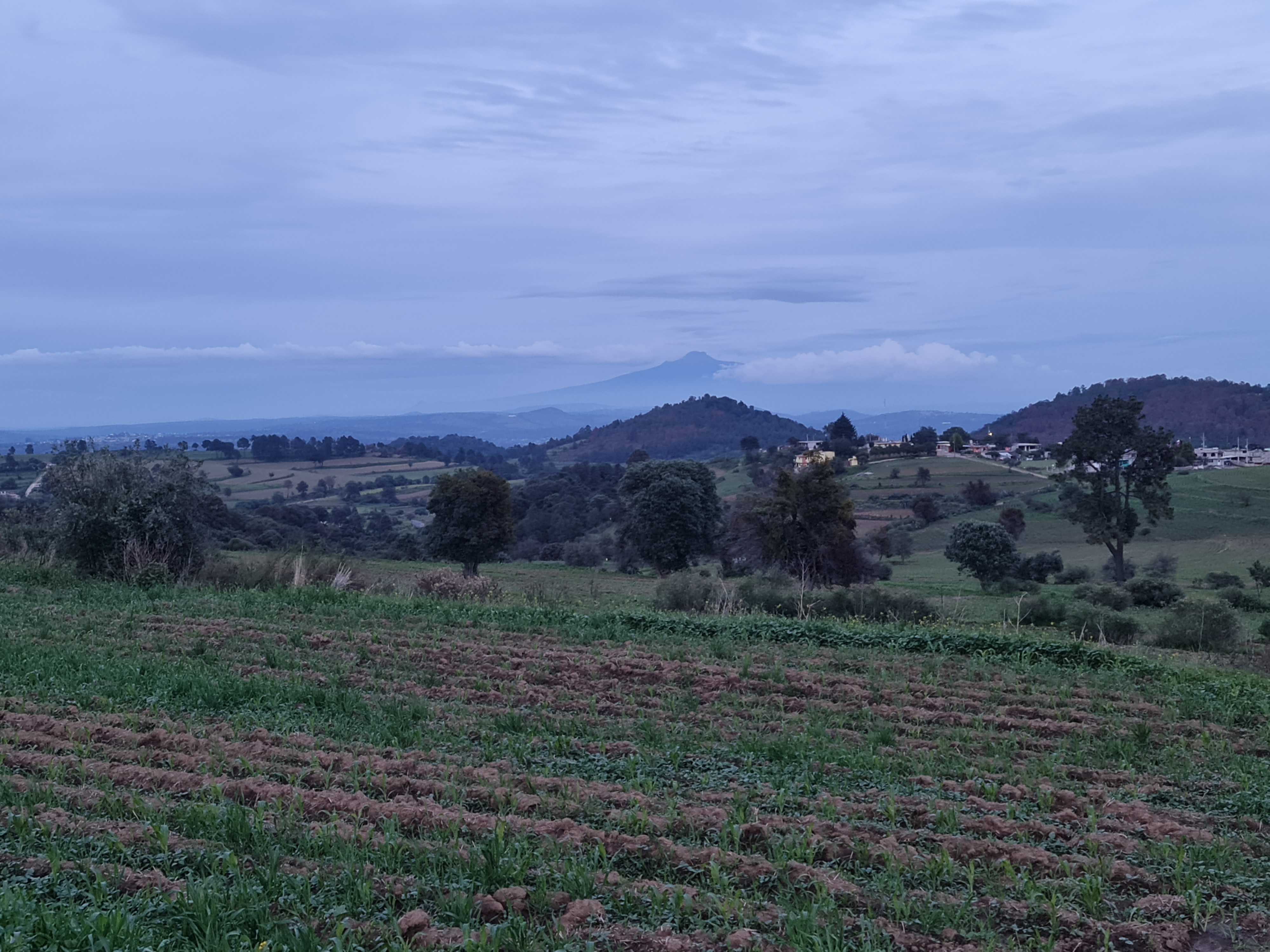 Comida Regional Doña Pery image 6