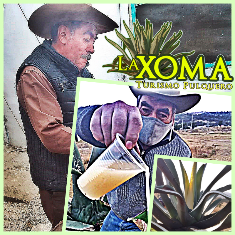 Pulques & Gastronomía "La Palapa de Don Jaime" image 1