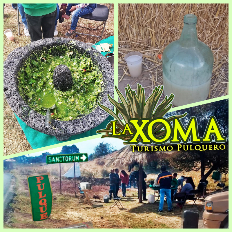 Pulques & Gastronomía "La Palapa de Don Jaime" image 3