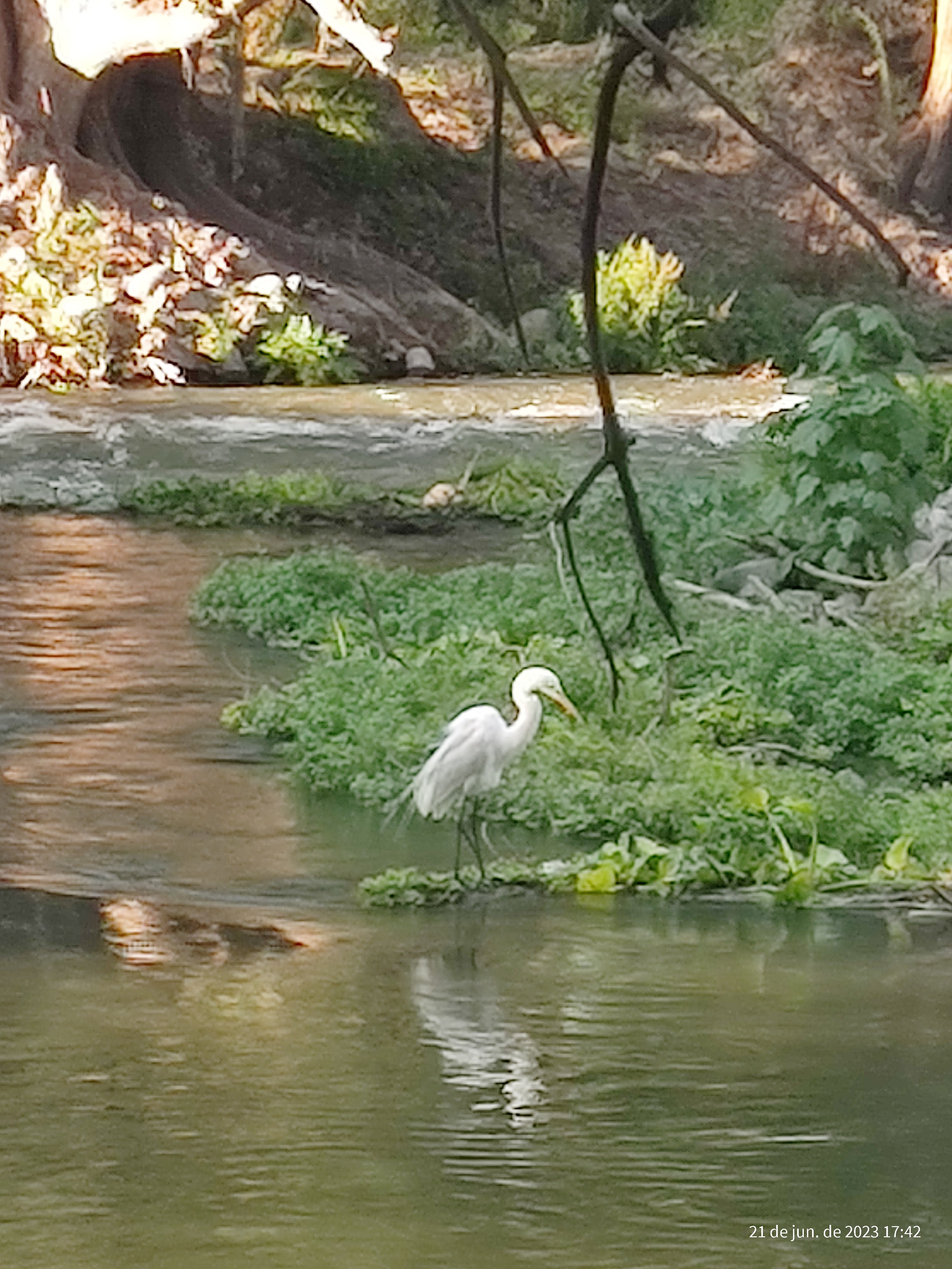 Don Julio Restaurant image 8