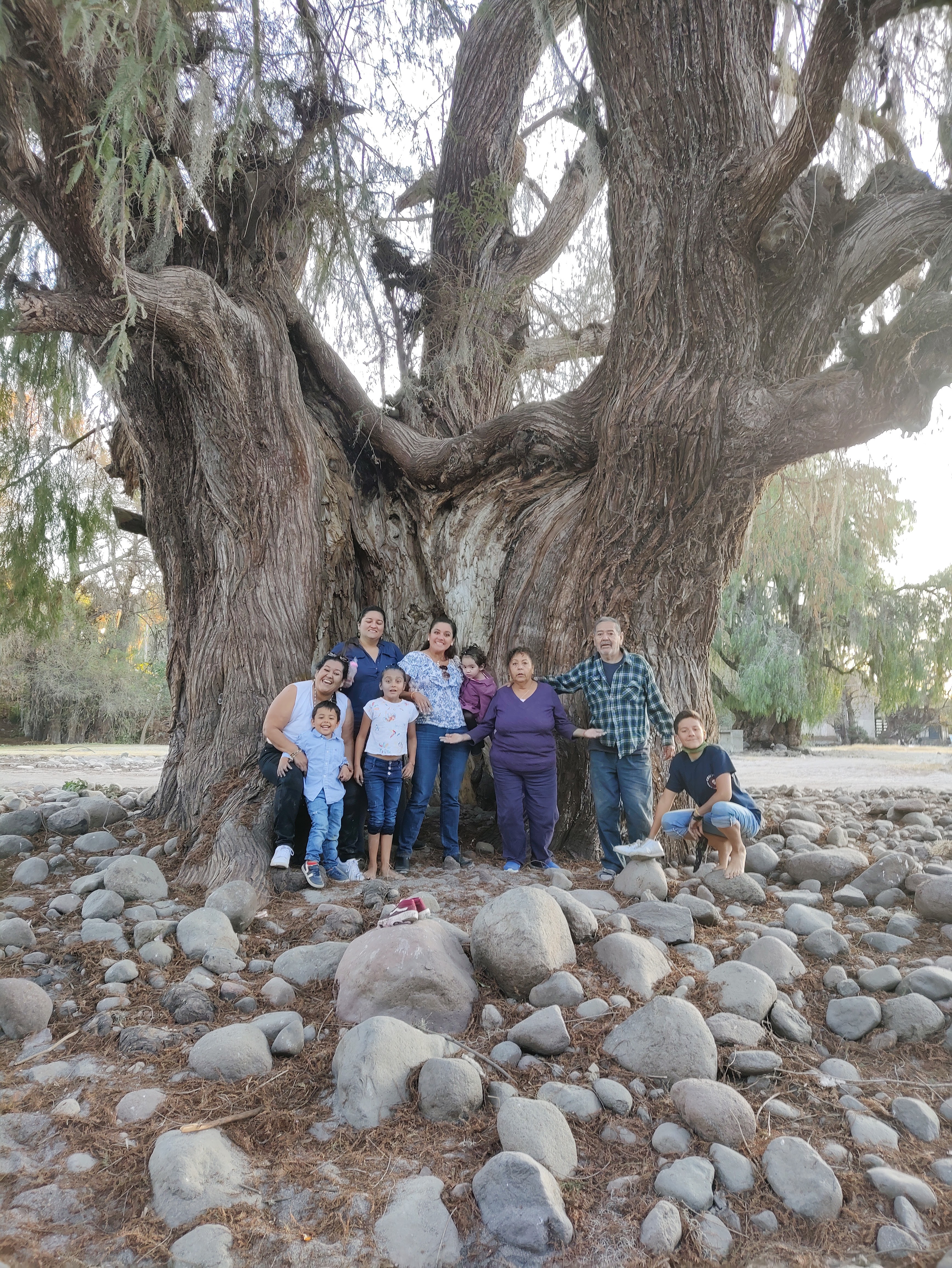 Restaurant y Jardín De Eventos Sociales "La Islita" image 3