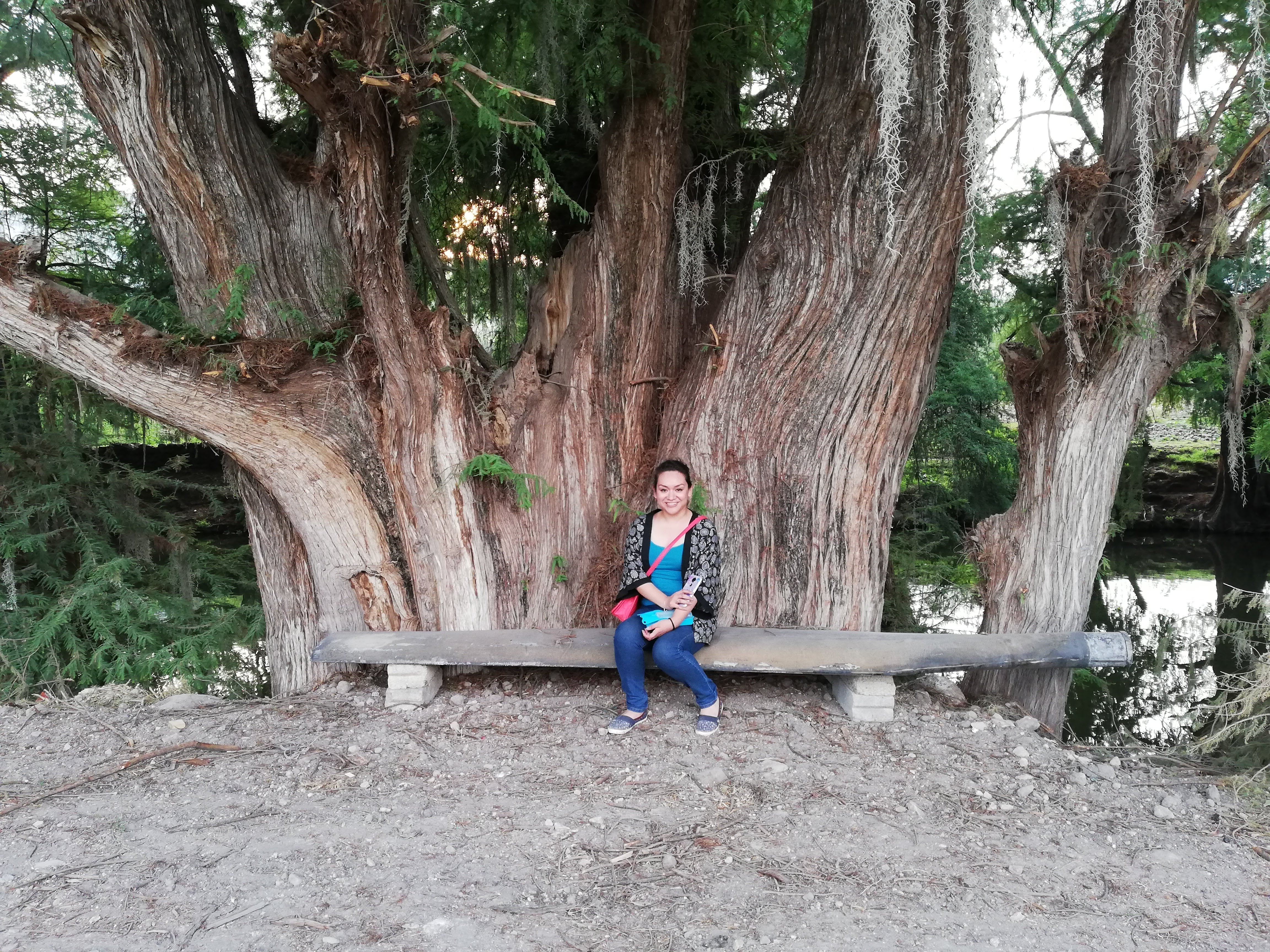 Restaurant y Jardín De Eventos Sociales "La Islita" image 10