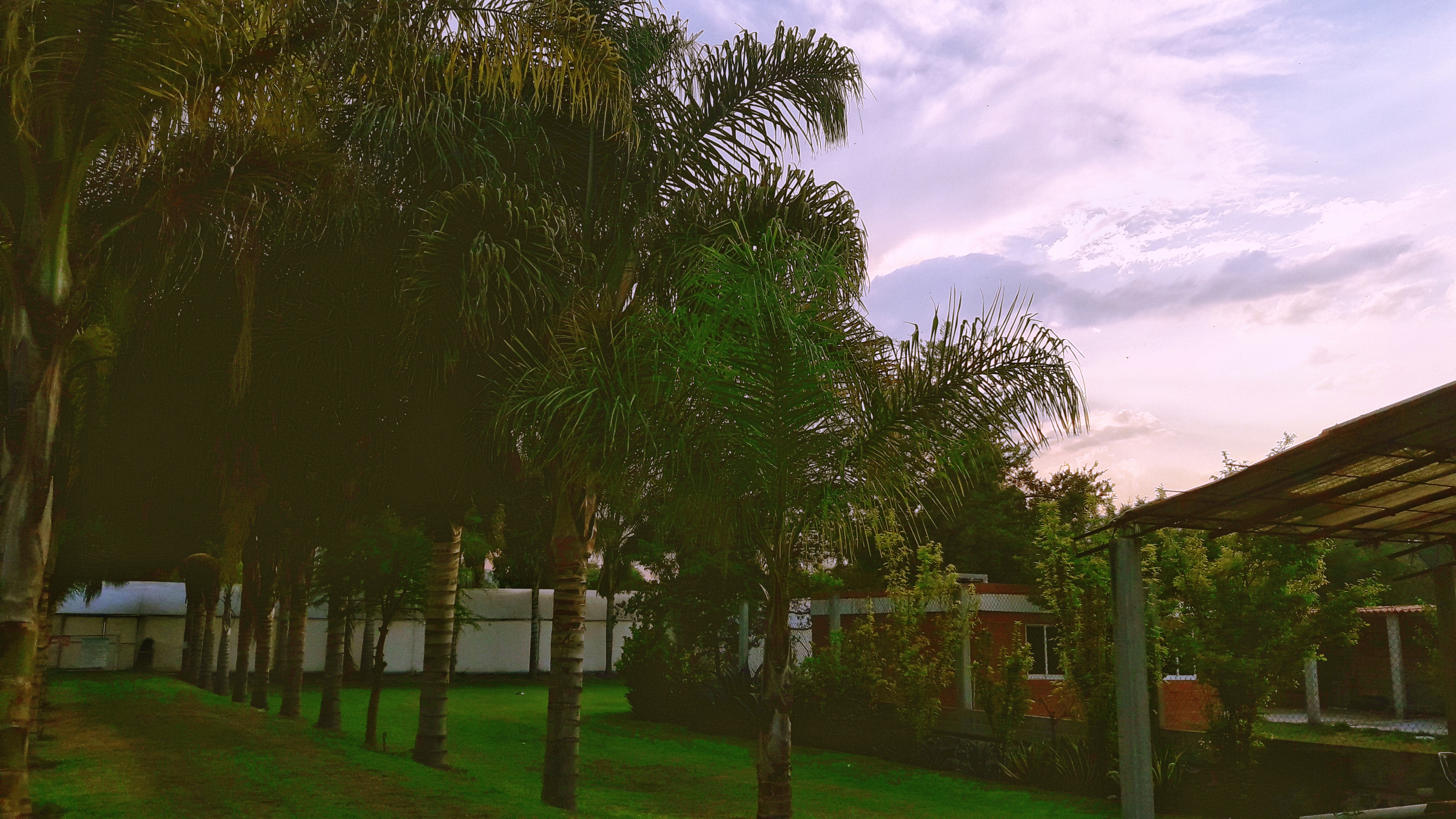 El Coyote Rengo image 2