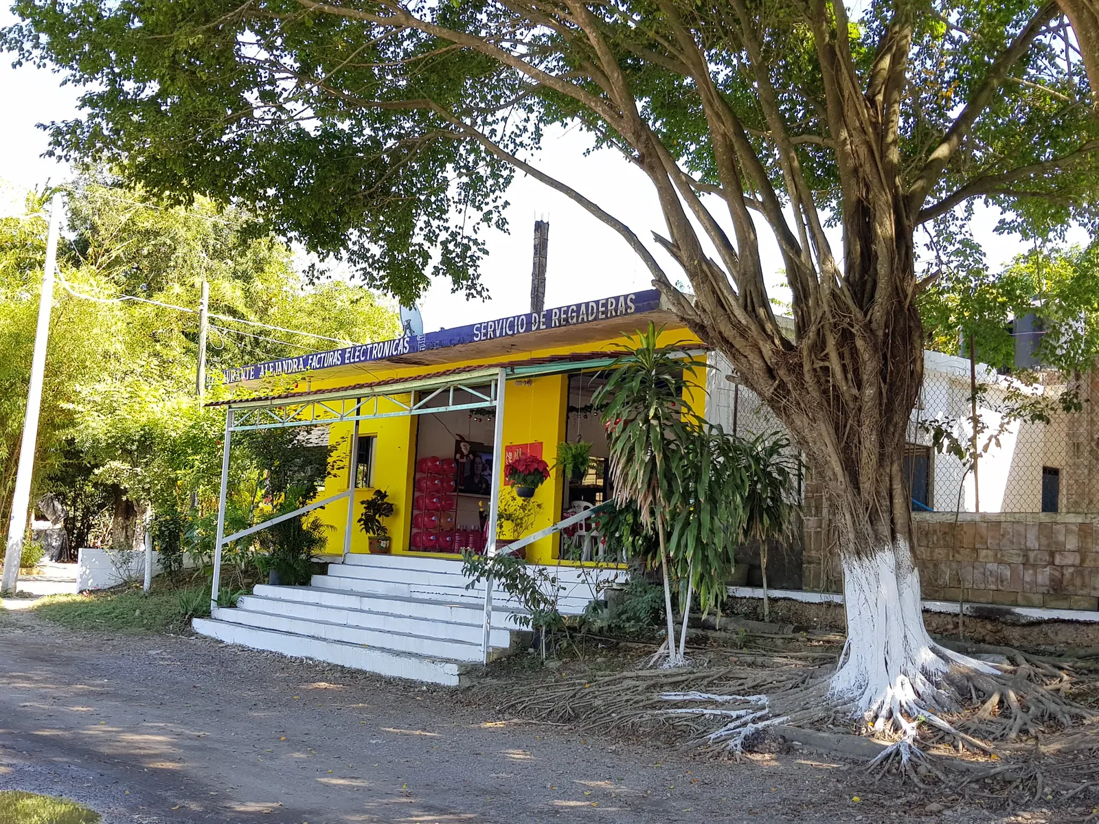 Restaurante Alejandra image 9